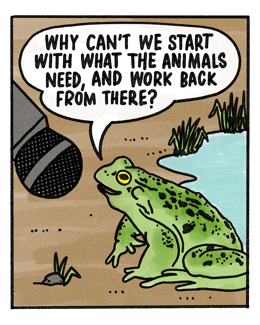 animals_needs.png