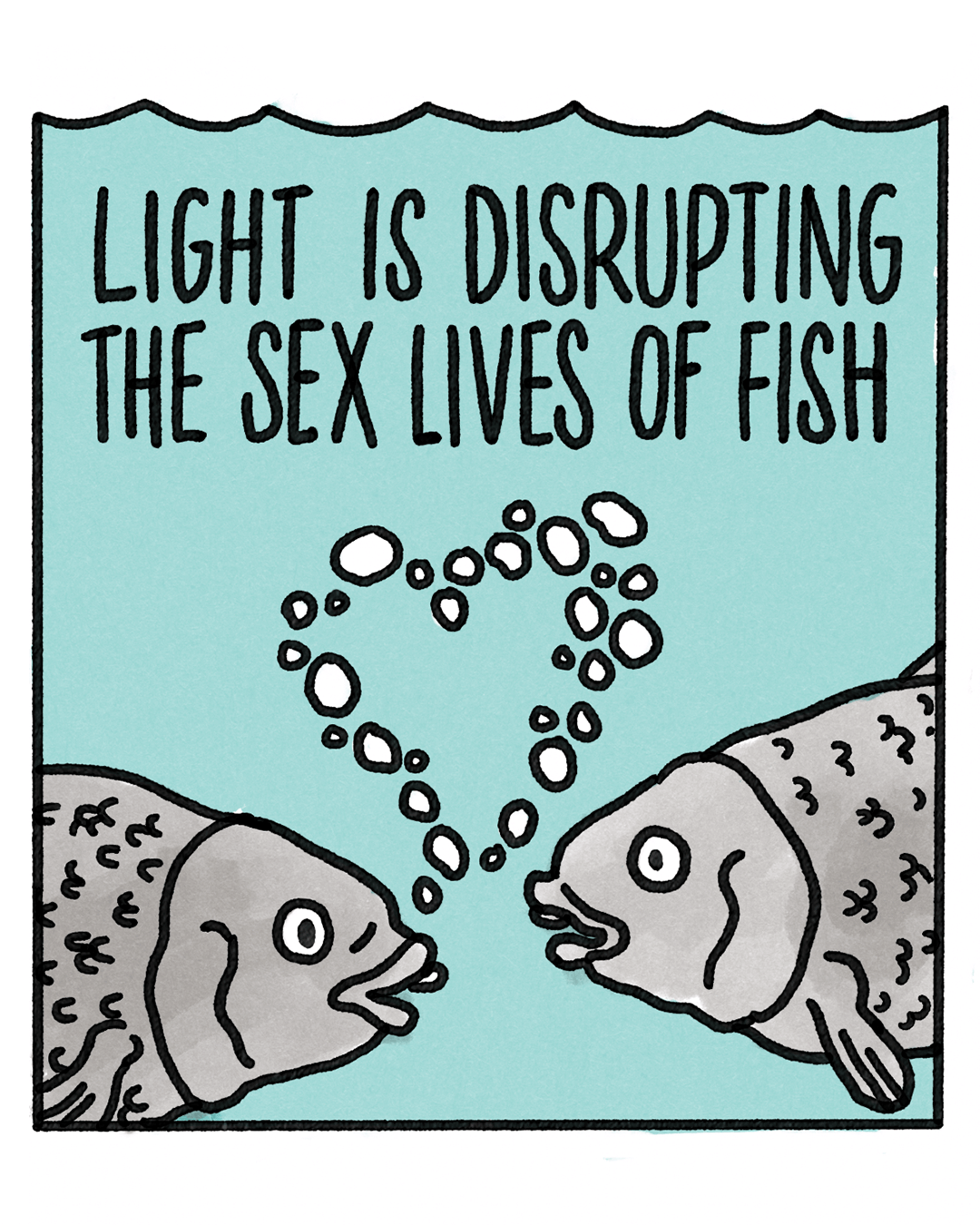 fish_sex.png
