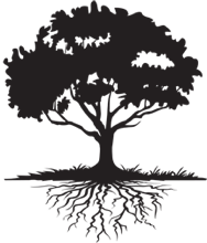 tree-with-roots.png