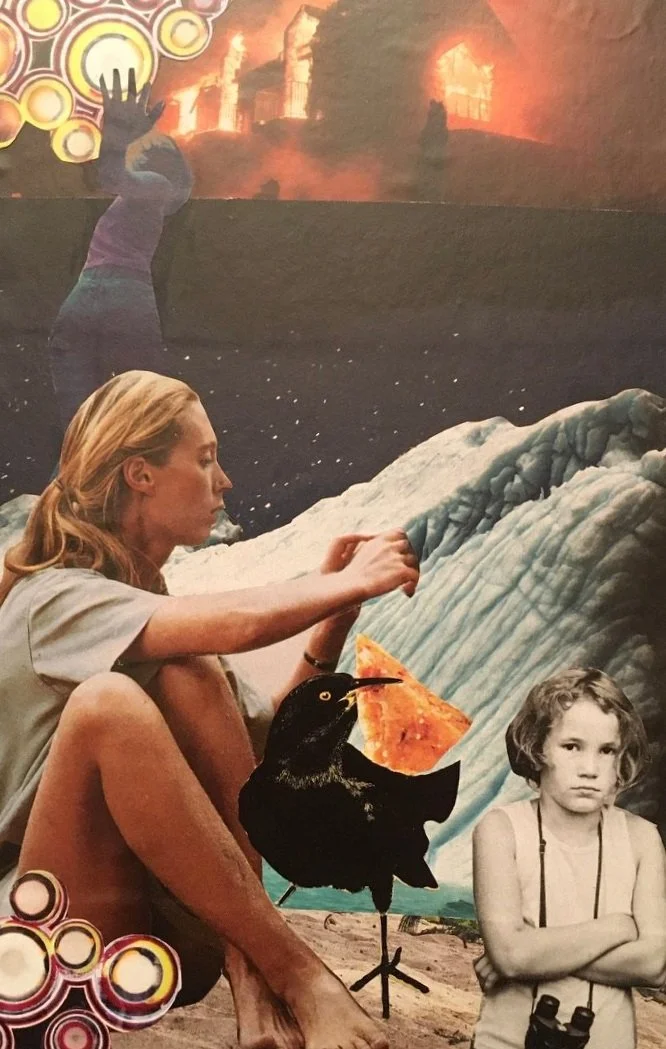 The Fox and The Crow