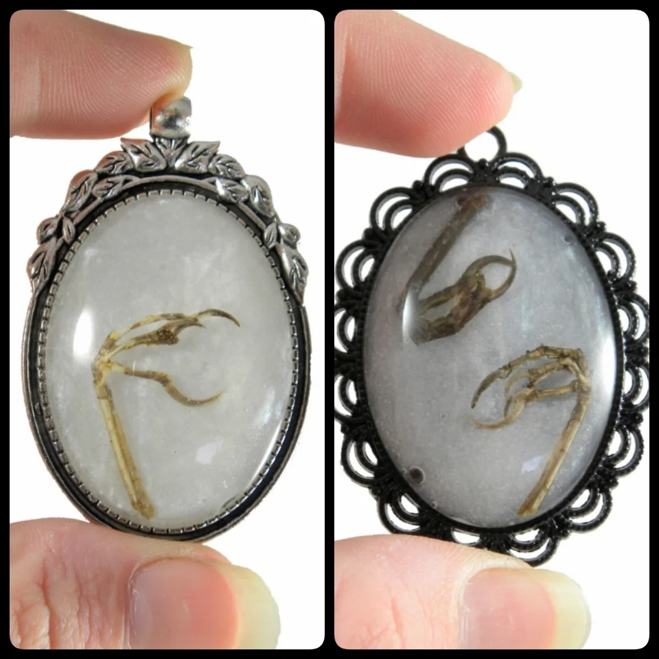 Bird feet cabochon pendant. Halloween / goth / witch necklace