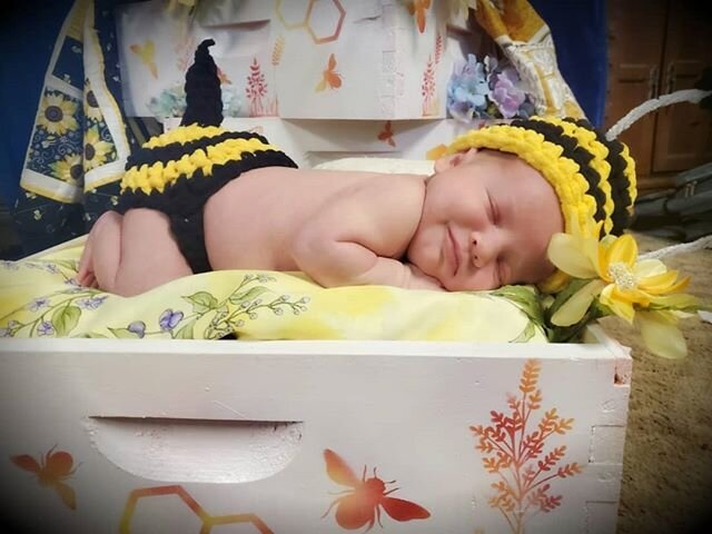 My little one month old bumble. 
Had to paint new supers for the hives and they looked so good I decided to crochet Annabelle this little outfit and do a mini photoshoot 😍🐝
#bumblebee #crochet #beekeeping #beekeeper #photoshoot #art #artist #baby #