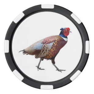 ring_necked_pheasant_poker_chips_set-r9a429e233c2e49ab885e04361b01ac43_zraqn_8byvr_307.jpg
