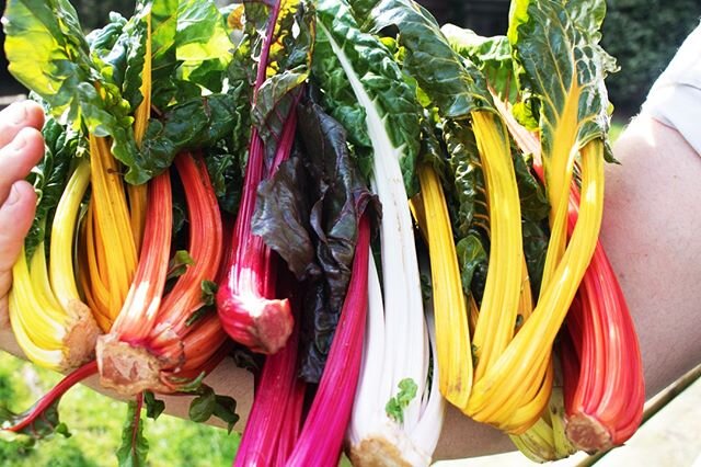 Summer, Summer, Summer, Charlie's Guns, Summer, Summer, Summer
#Summer
-
-
-
-
-
-
-
-
#10CastleStreet #MakeItNice #TheAlternativeMembersClub #MembersClub #Membership #OutOfTown #MembersEvents #Tastings #FoodAndBeverage #Restaurant #SocialEating #Che