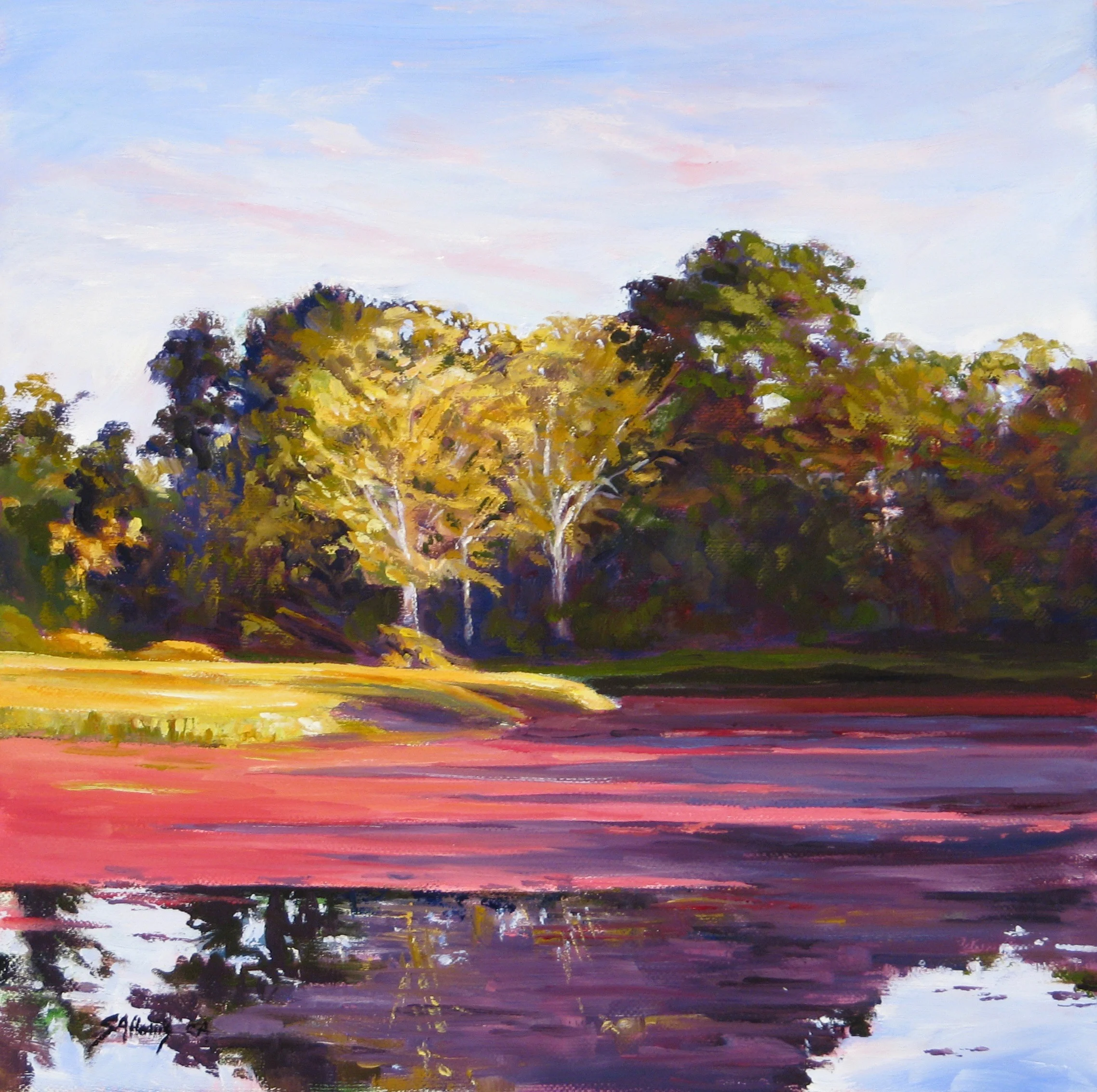 Floating Shadows – 12" x 12"