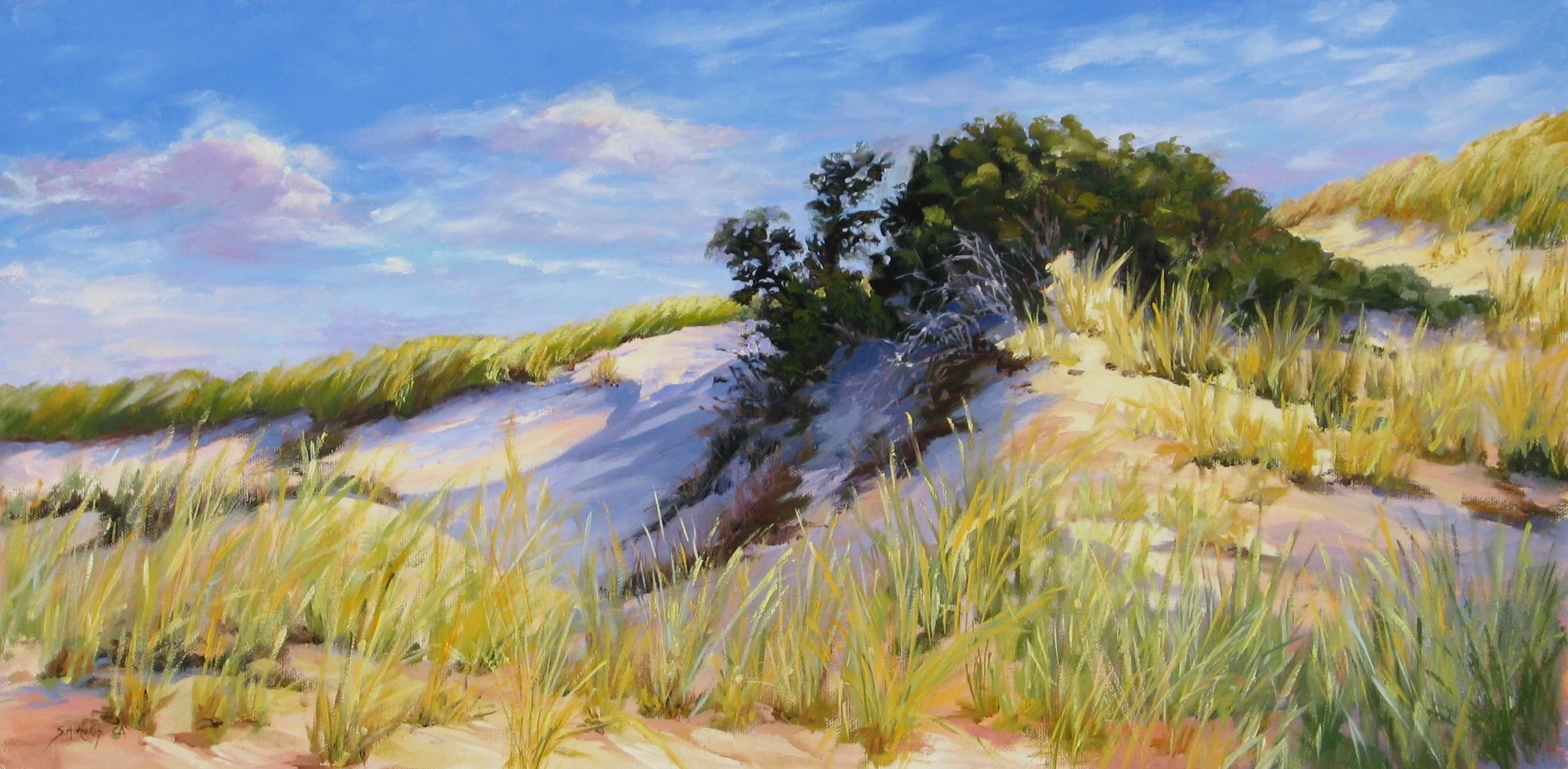 Shadow in the Dune – 12" x 24"