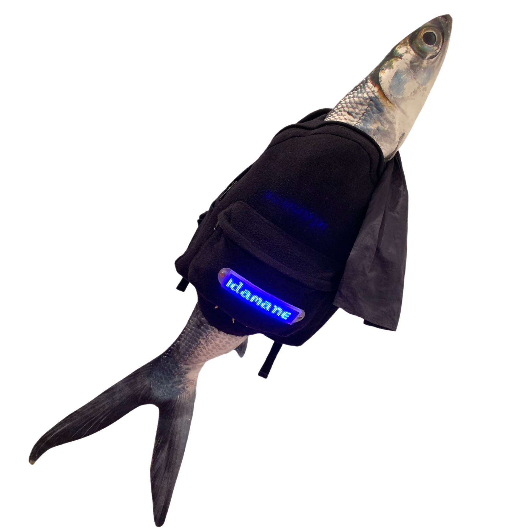 8EF243E6-FC40-4E49-BC0B-E491B6FE9F34