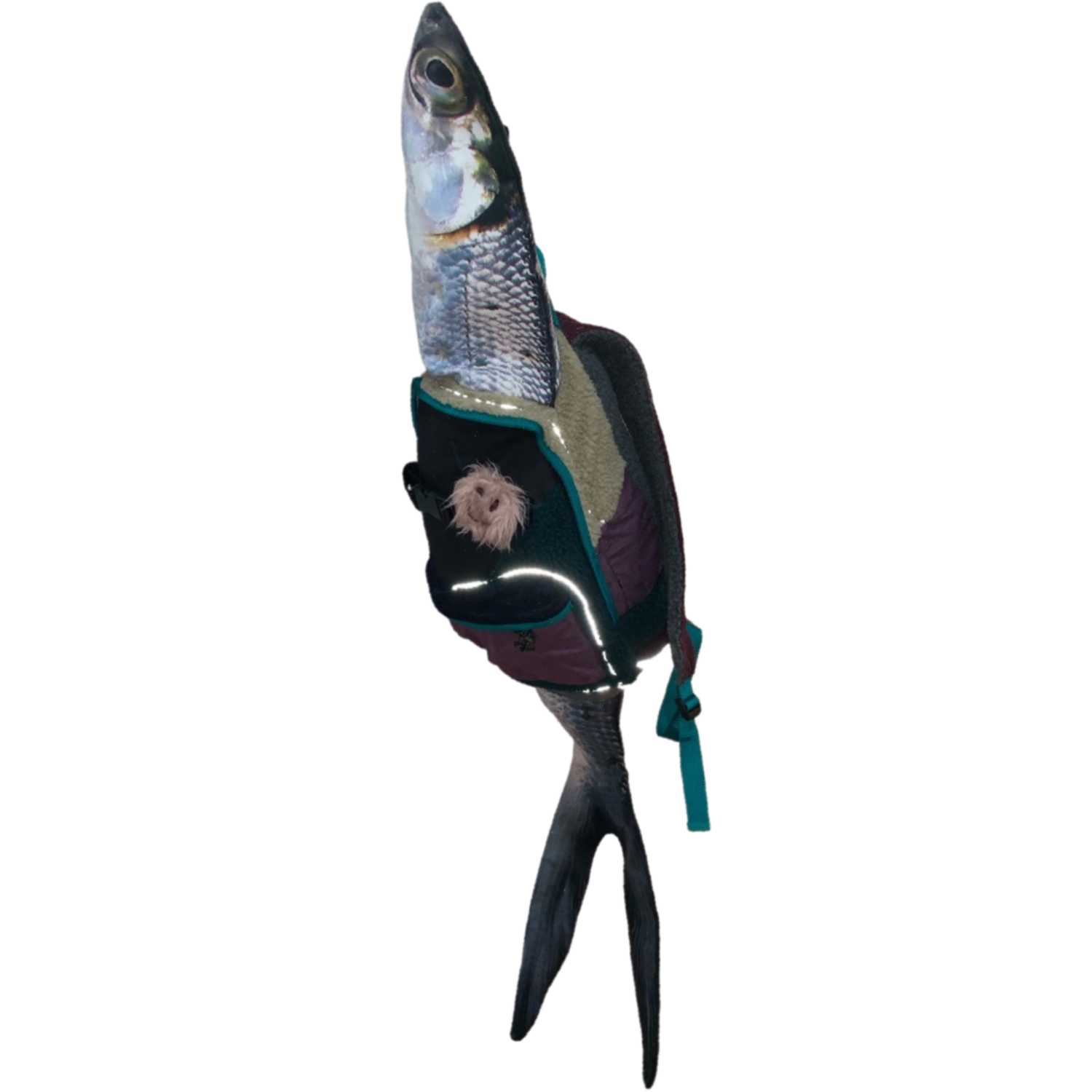 FAF0D709-7EE5-415E-B688-51AF05565B5B