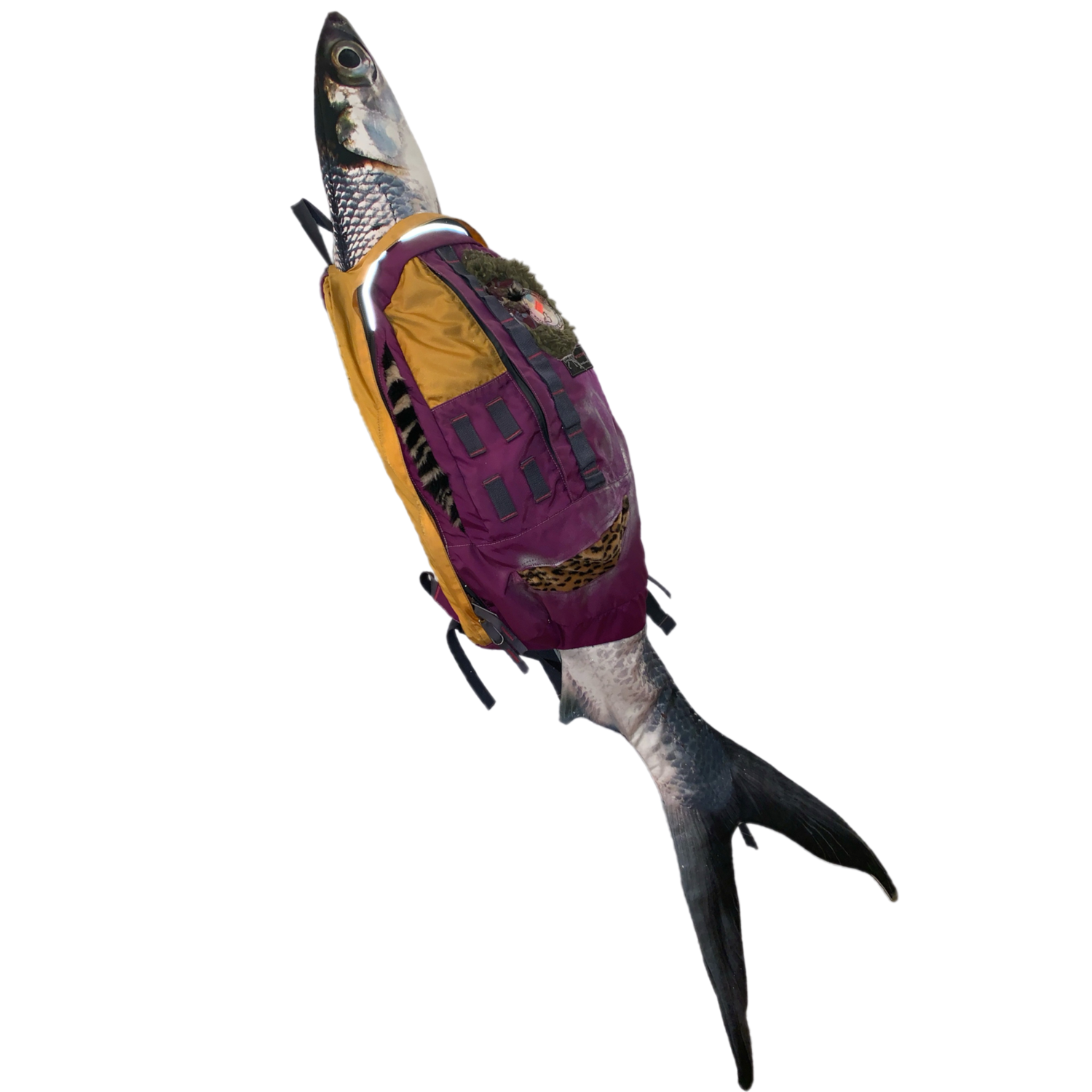 C71CB41D-D905-4B98-9CF6-AF525E5F7B8E