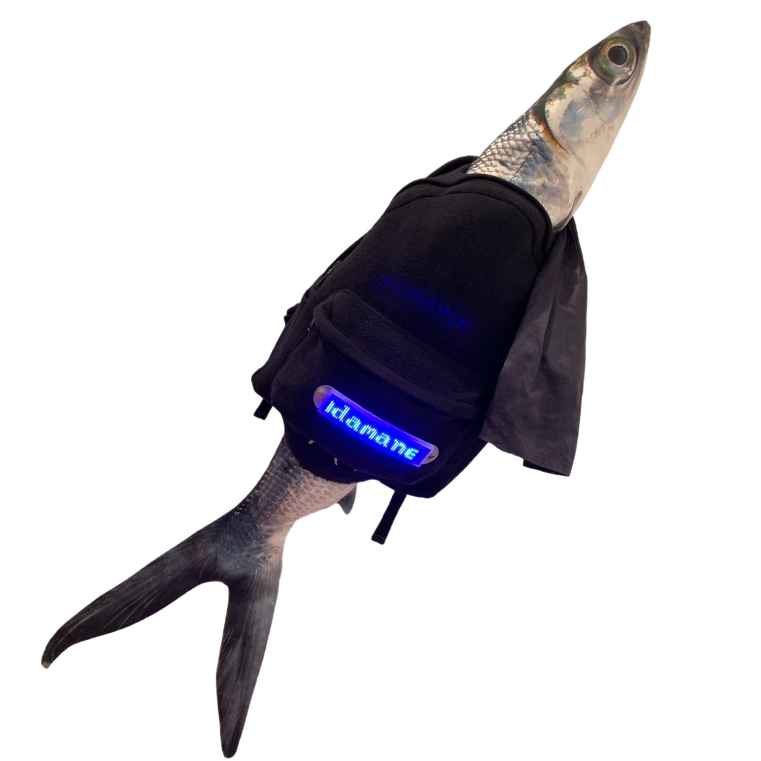 C90D14C1-C48F-4481-821B-D65CADAABCEF