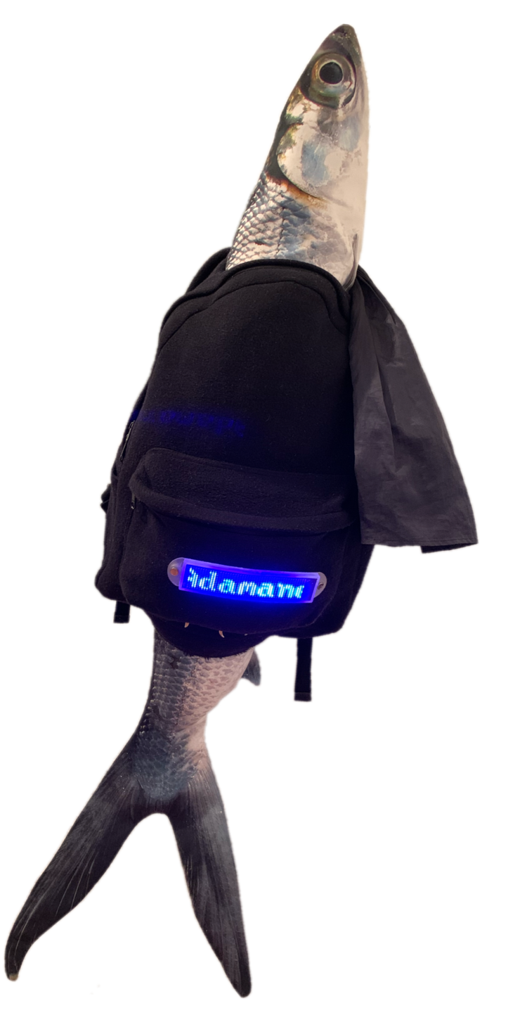 43B191EE-3D32-4779-86F0-4650855FCCE3