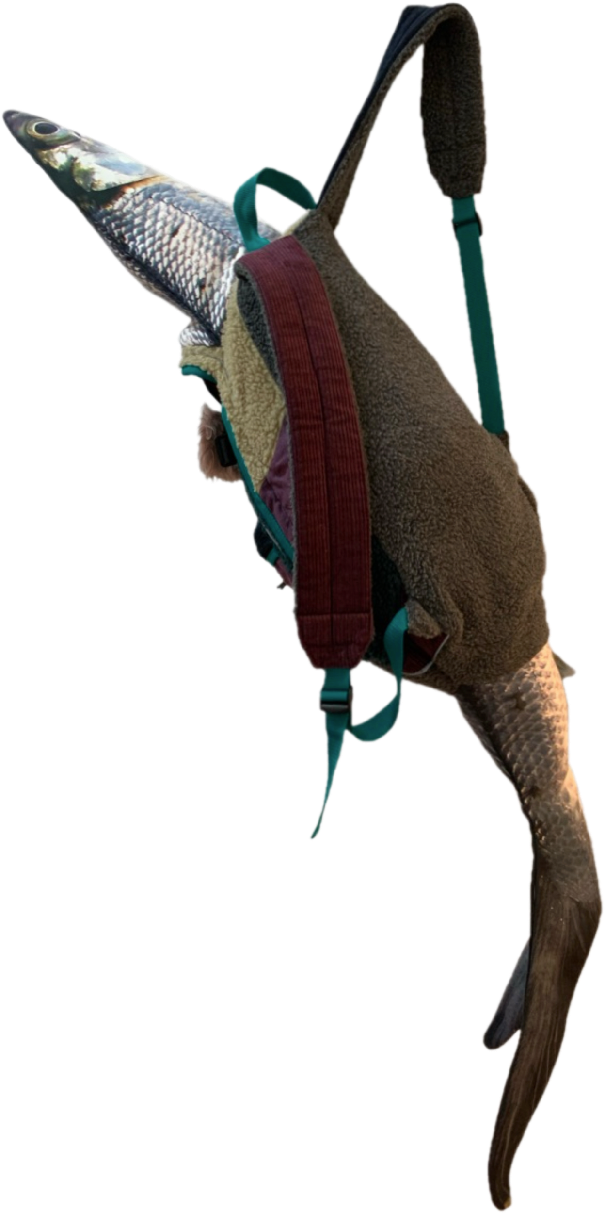 1E8DA82C-AE35-4C36-B2DB-F40F8C7F11CA