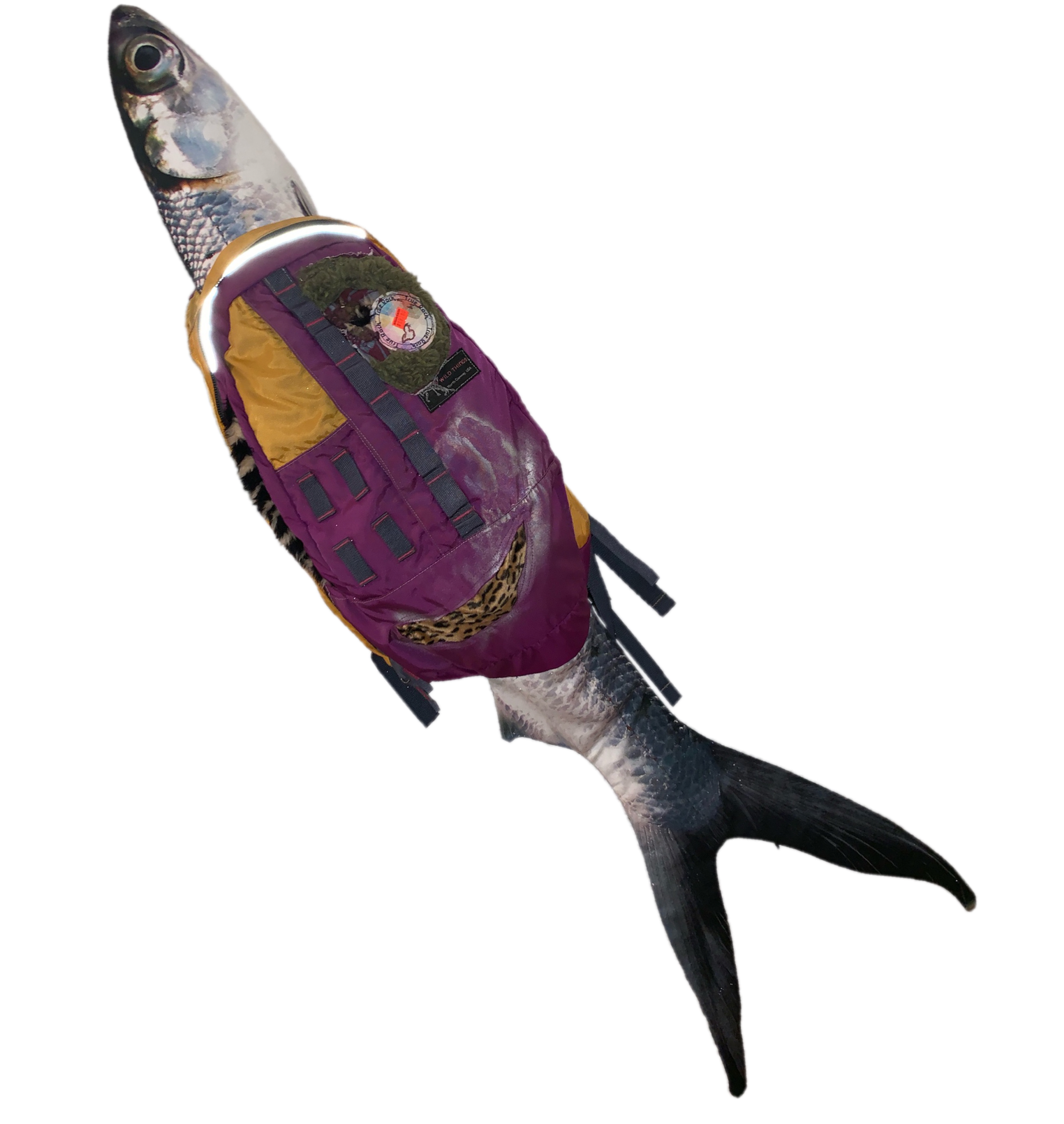 1691D7AB-40C6-4FD1-8868-90D3D5242655