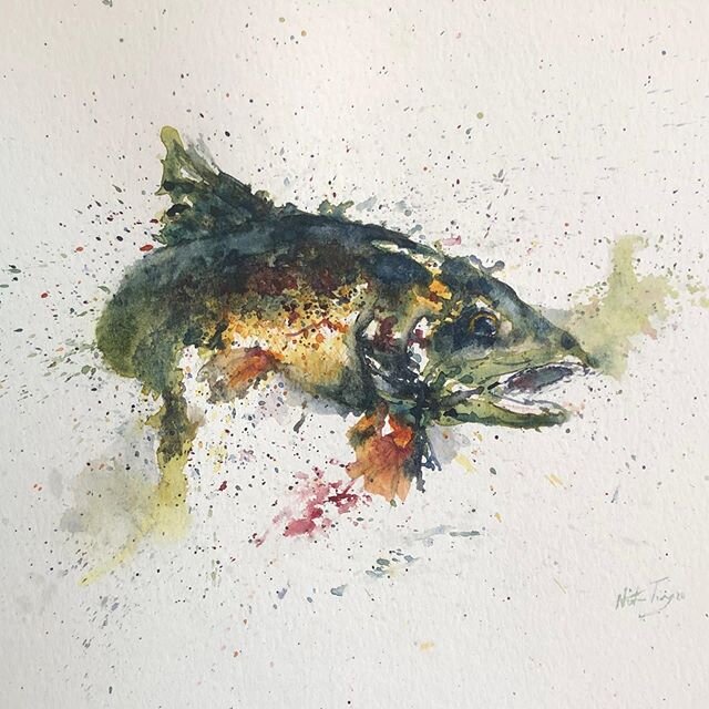 🐠 #watercolor #painting #paint #watercolorpainting #art #trout #fish