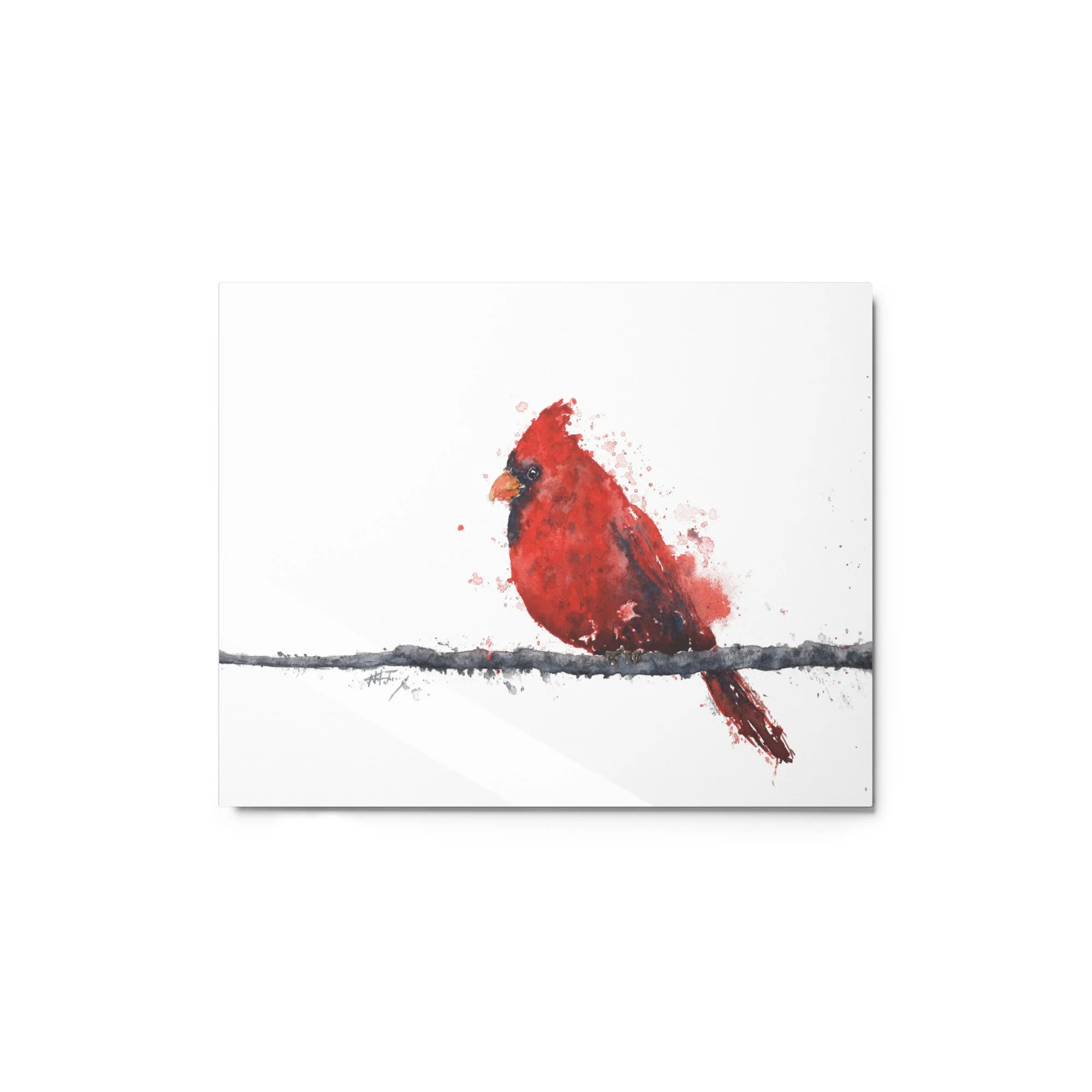 glossy-metal-print-(in)-white-8x10-front-639f2fc3596c3.jpg