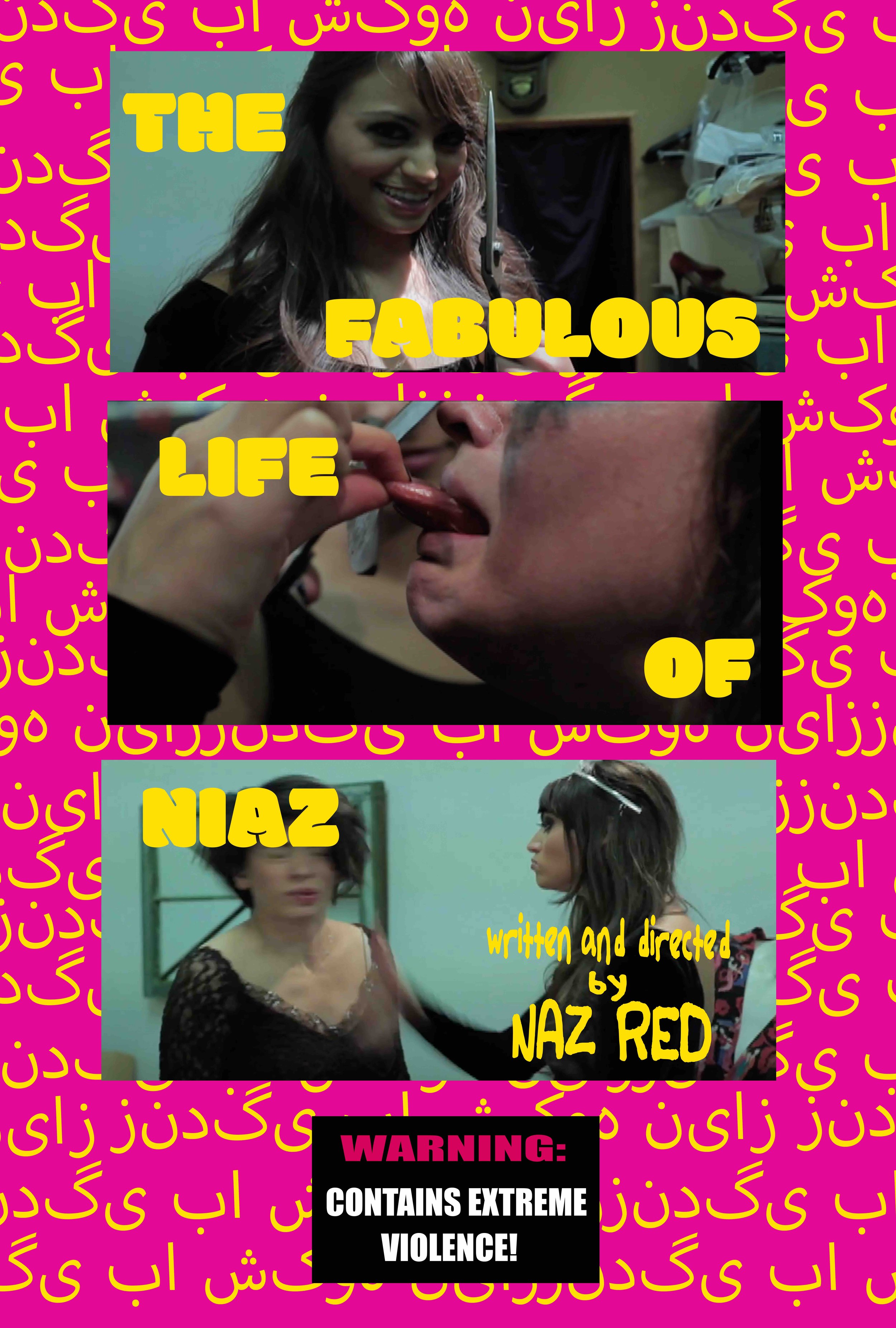 The Fabulous Life of Niaz