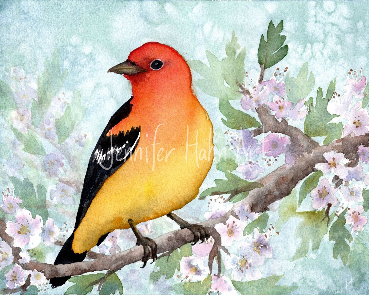 western-tanager-watercolor_web.jpg
