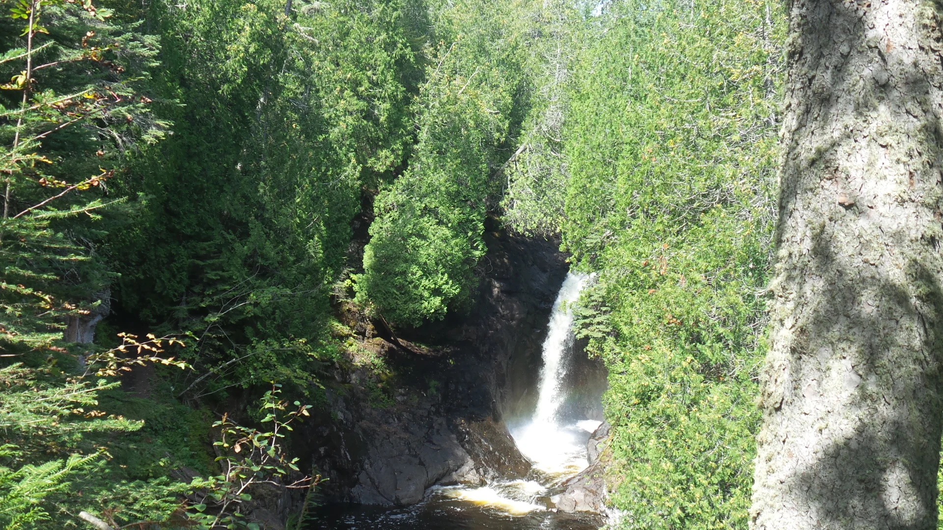 20160904_132606.jpg