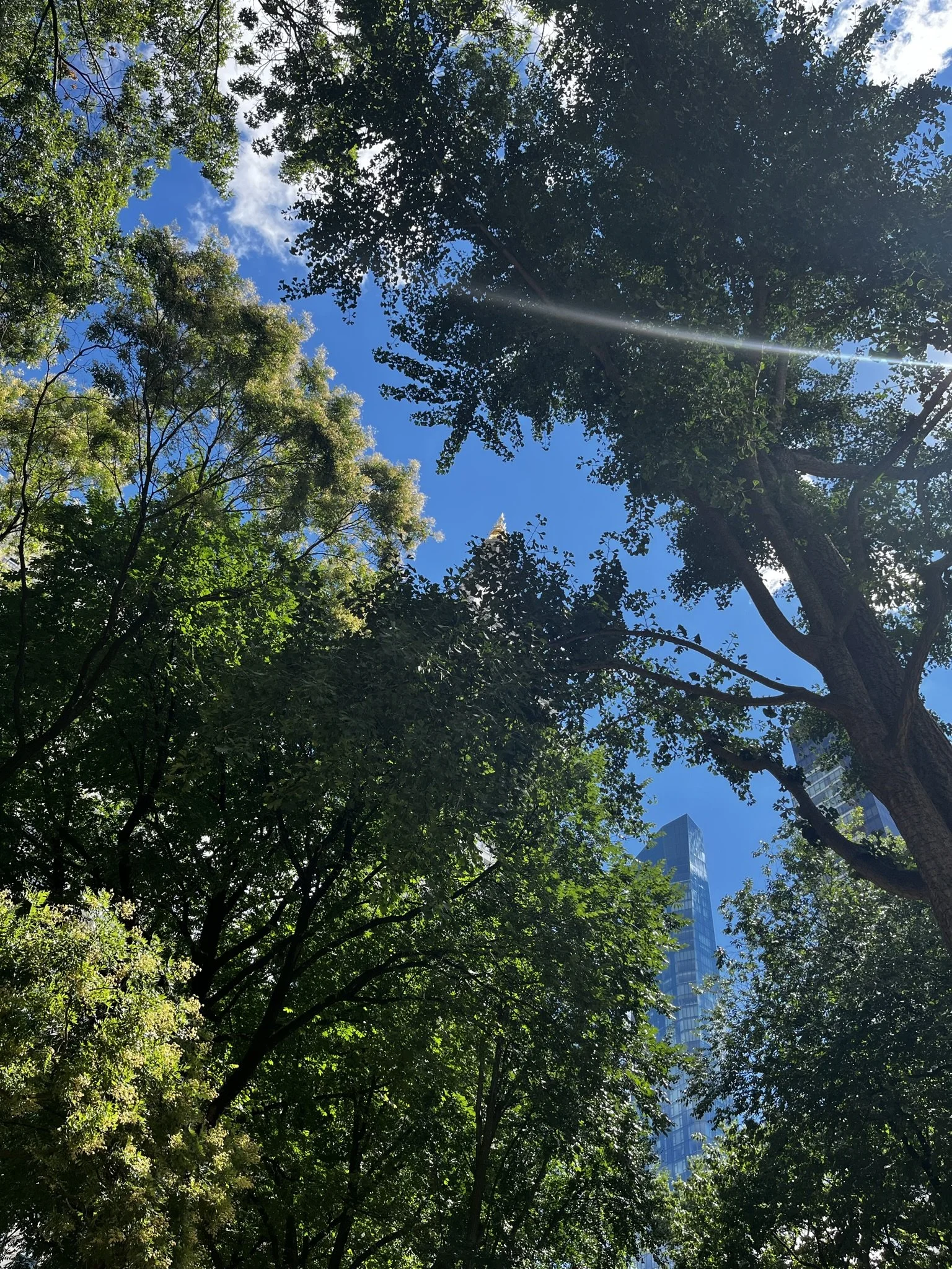 Journal Entry: September 24th, 2022