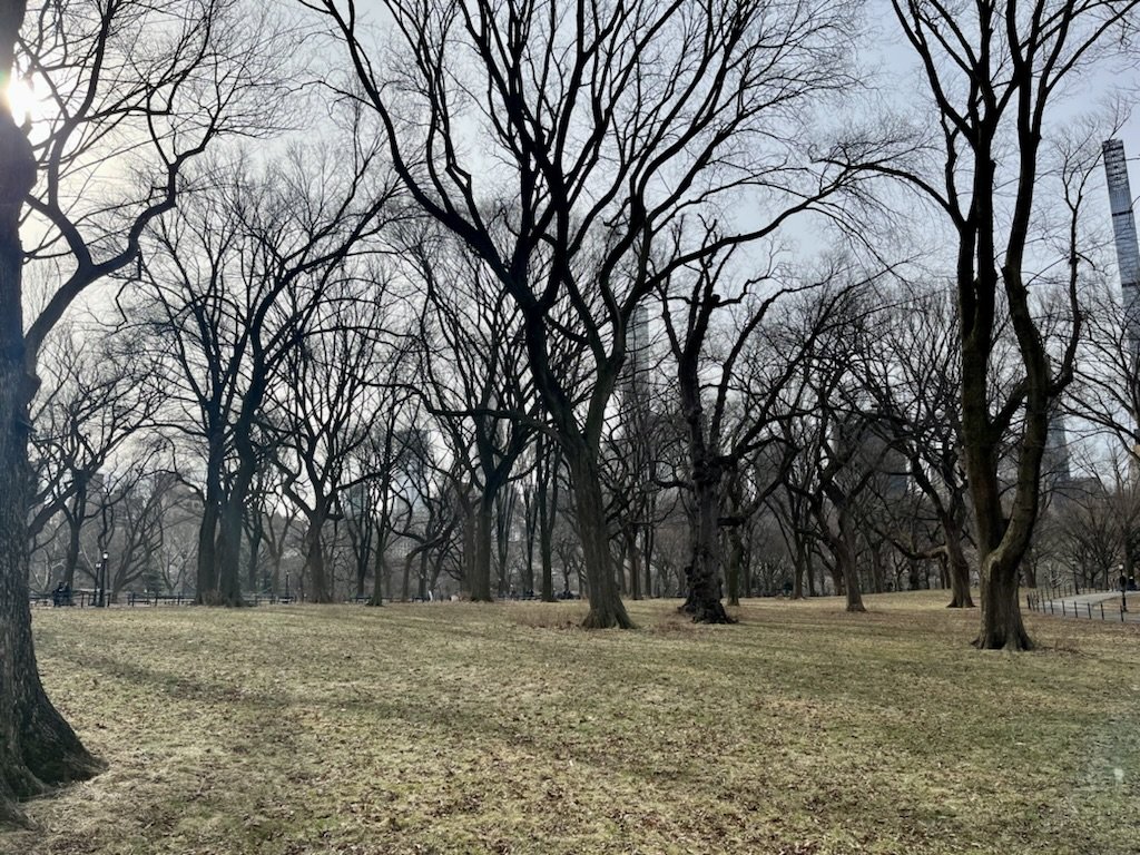 A Conversation with Thanatos