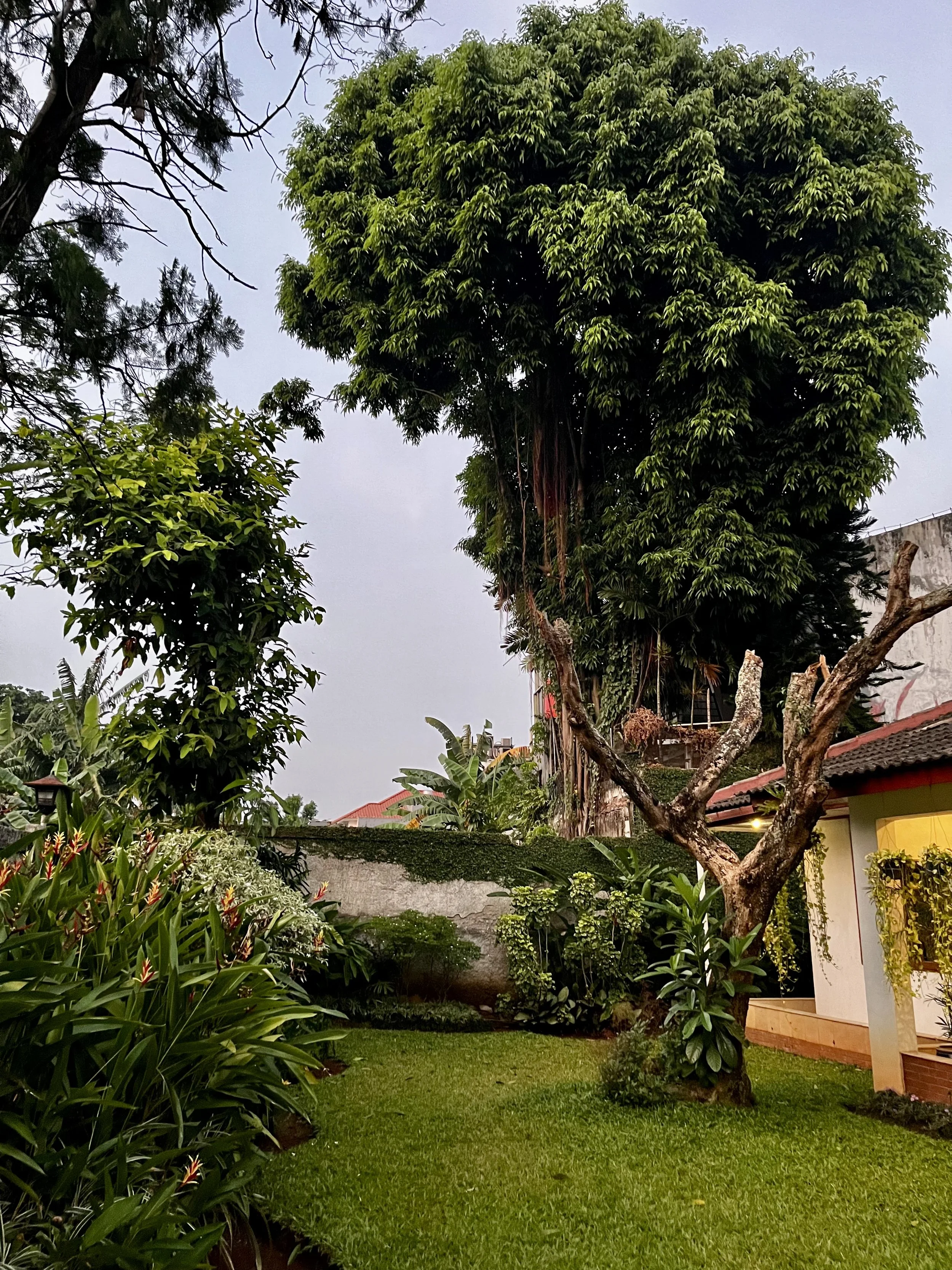 This is all F*cked Up