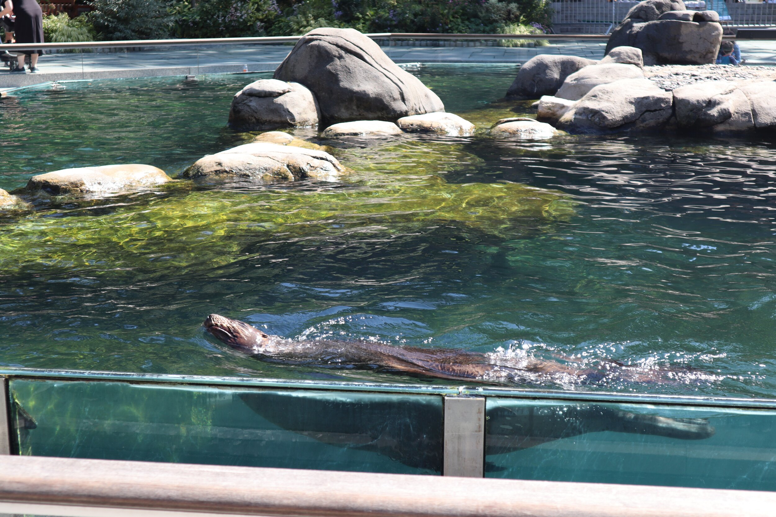 central-park-zoo-nyc