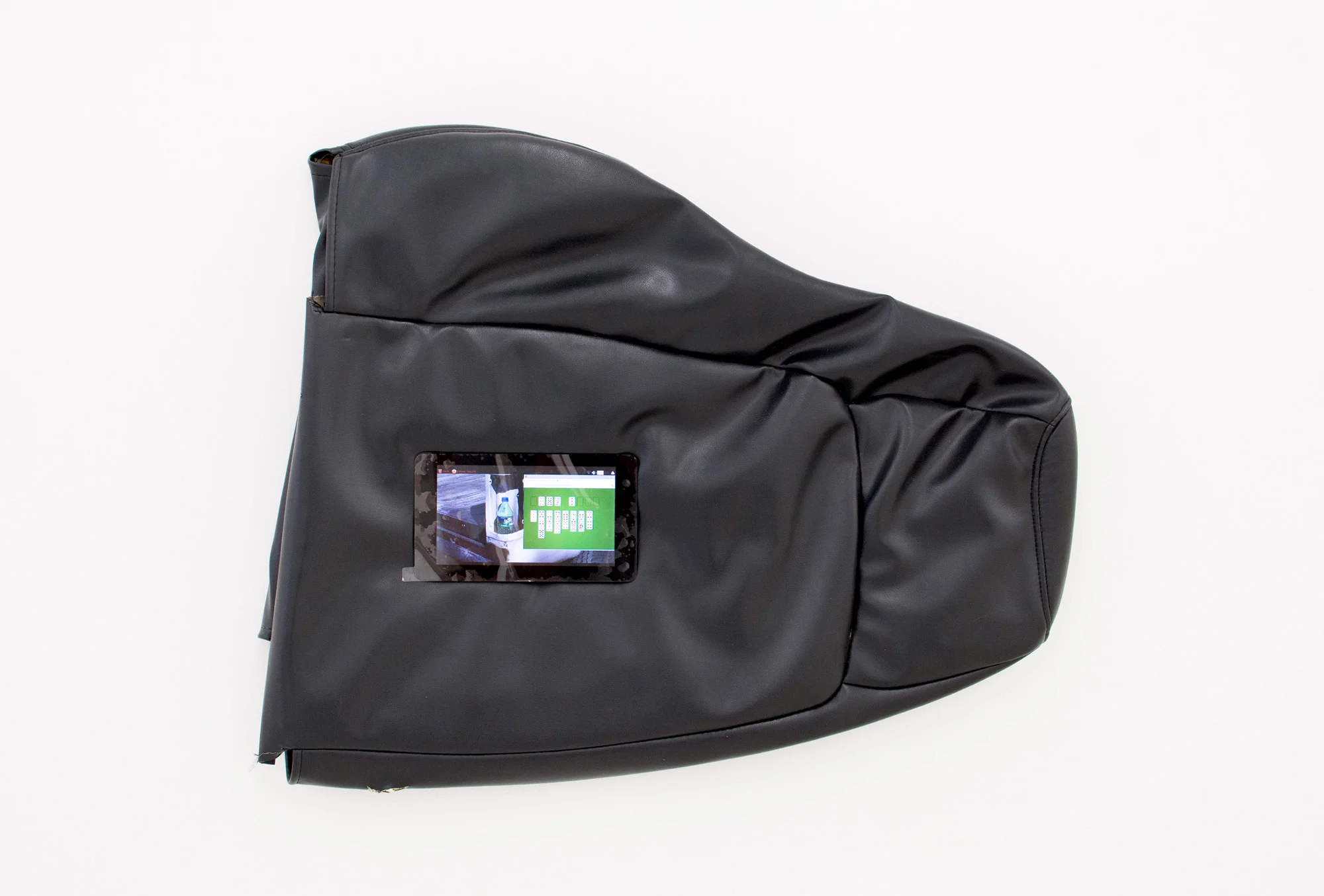 The Self-Aware Slug , 2016, Custom softwear, Linux computer, vinyl