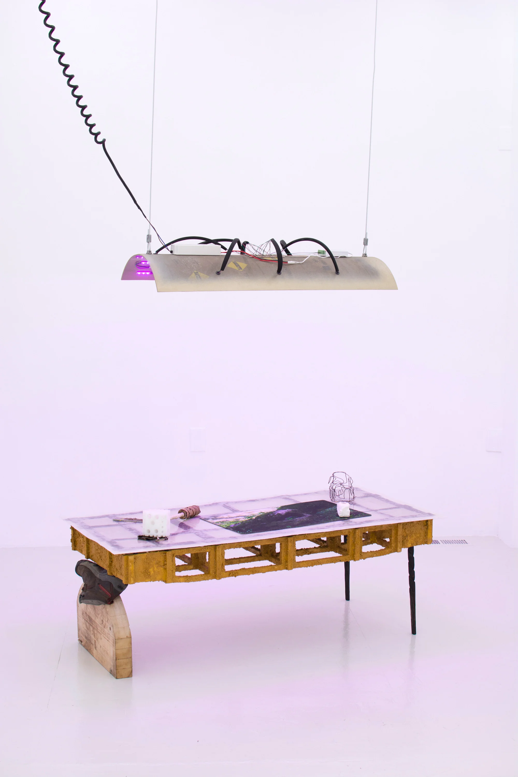 Eveninging , (in collaboration w/ Colin Van Winkle), 2016, Fiberglass, epoxy, enamel, custom electronics, hardware (top) Again, John considered two days , 2016, MDF, poplar, oak, PVA, acrylic, fiberglass, epoxy, UHMW, aquaresin, banana, steel, silver, hardware (bottom)