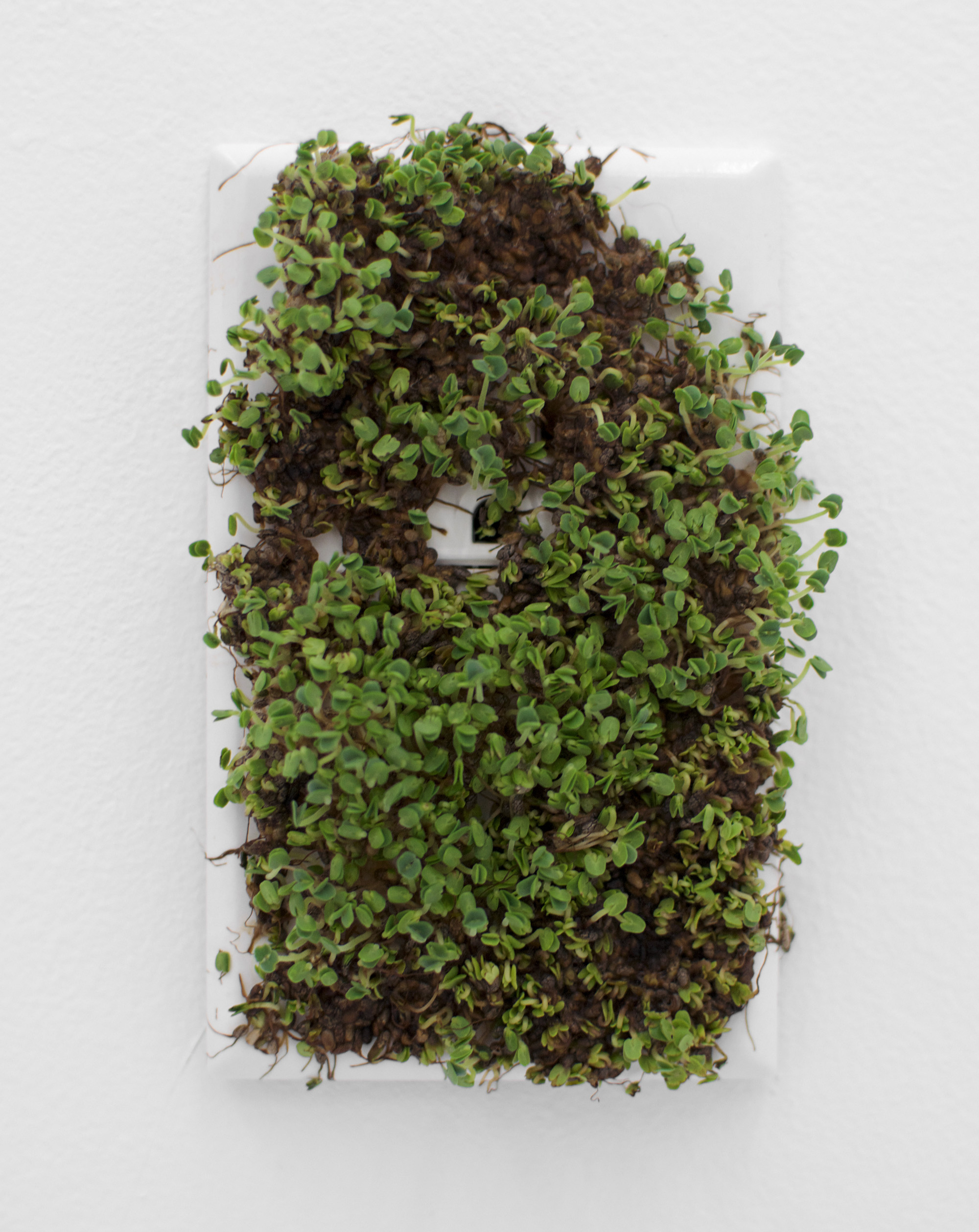 BEA FREMDERMAN Untitled, 2016