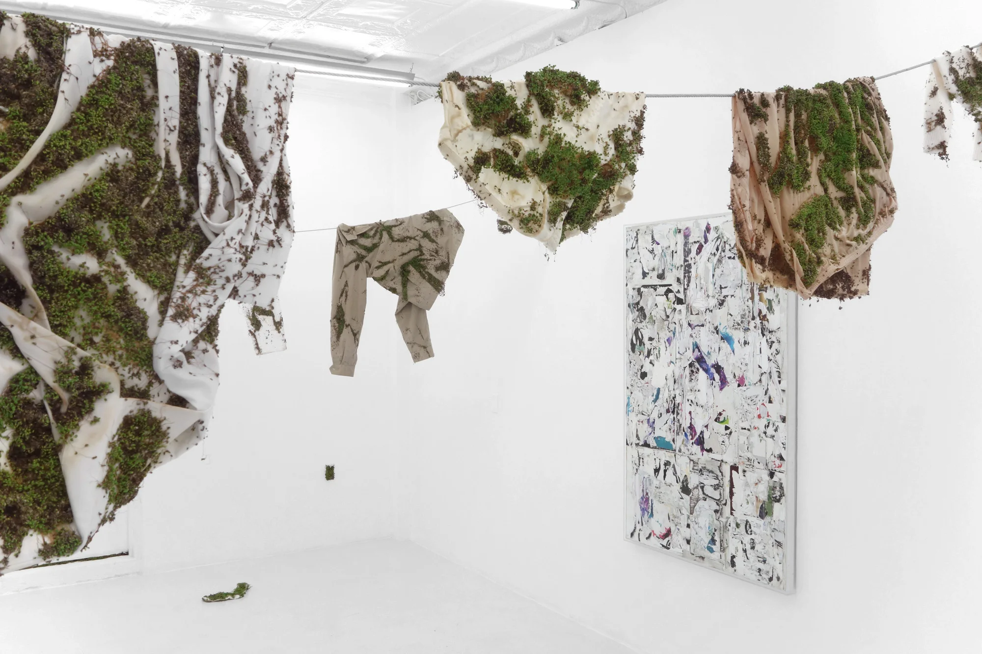 Machine_in_the_Garden_Springsteen_Bea_Fremderman_Andrew_Laumann_19.jpg