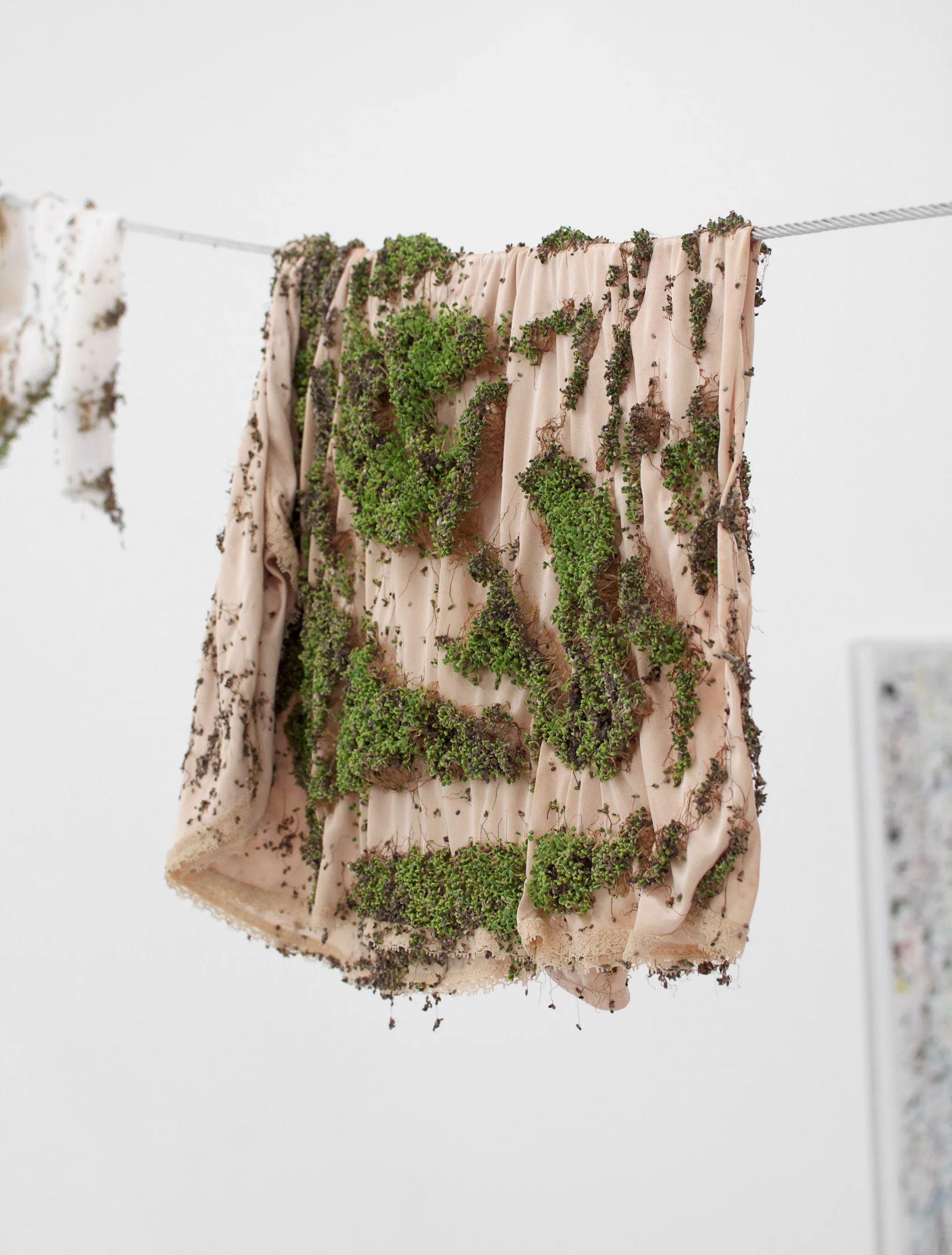 BEA FREMDERMAN Untitled, 2016