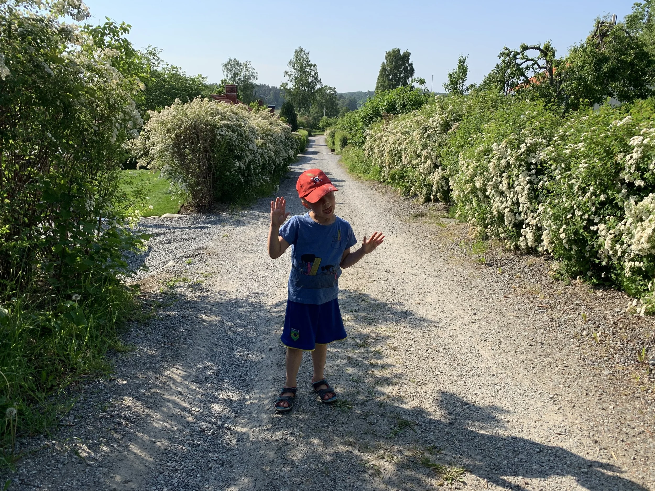 Barnens dag på Nibbla 6 juli