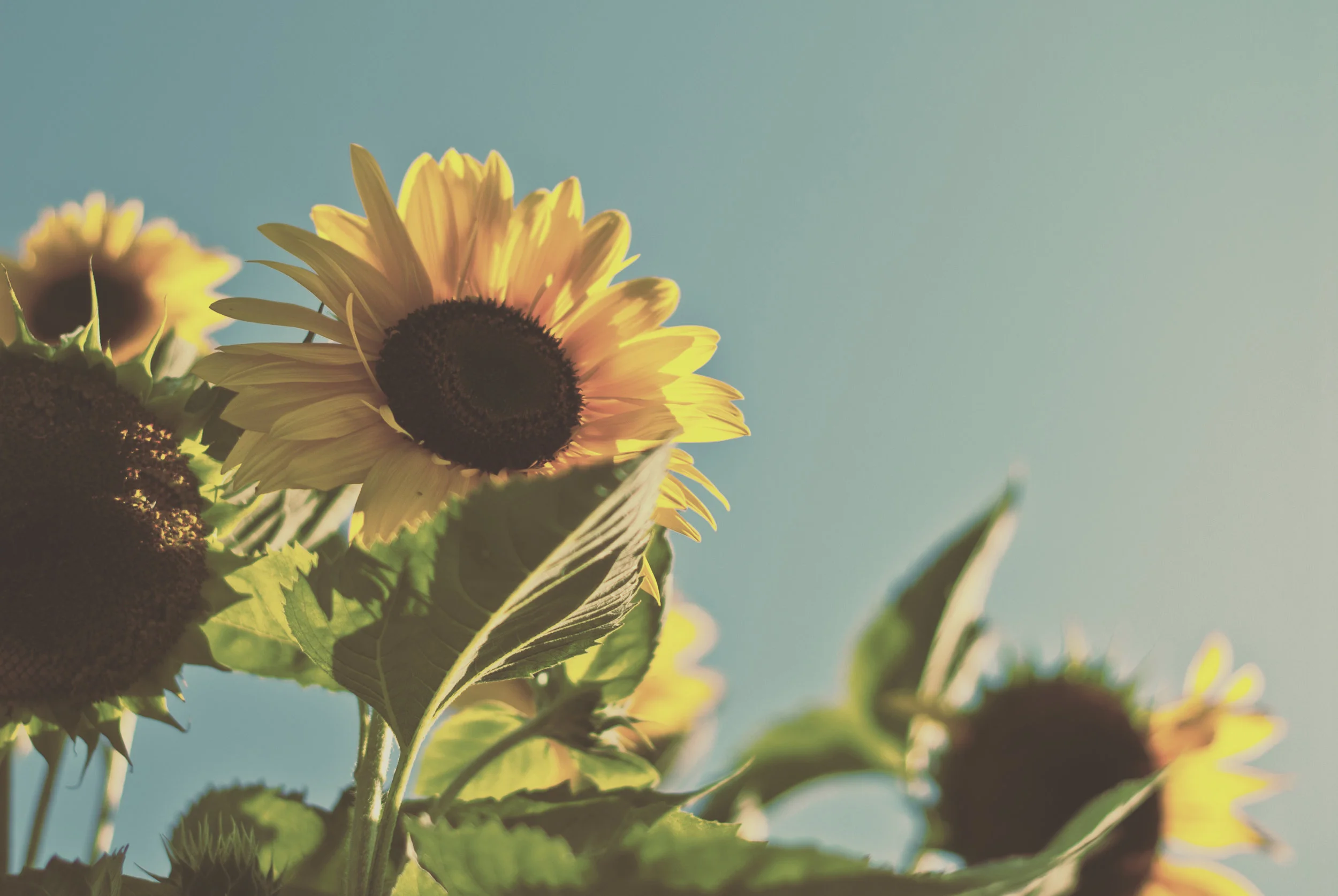 Nu bildar vi en damklubb!