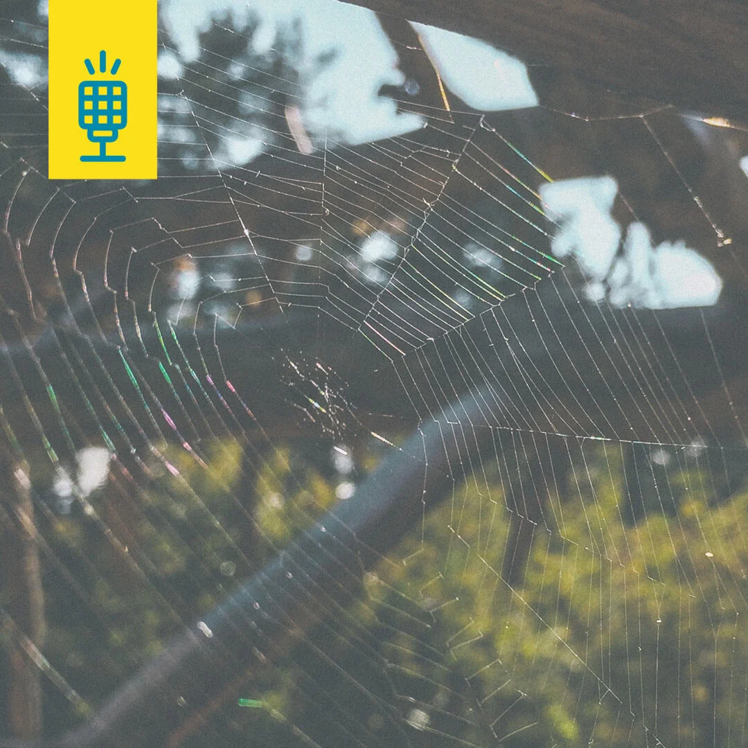 Snapping Out Of The Trap Becoming A Better Designer Not Content Creator Creative Waffle Podcast A wide variety of designer traps options are available to you, such as fragrance, state, and feature. creative waffle podcast