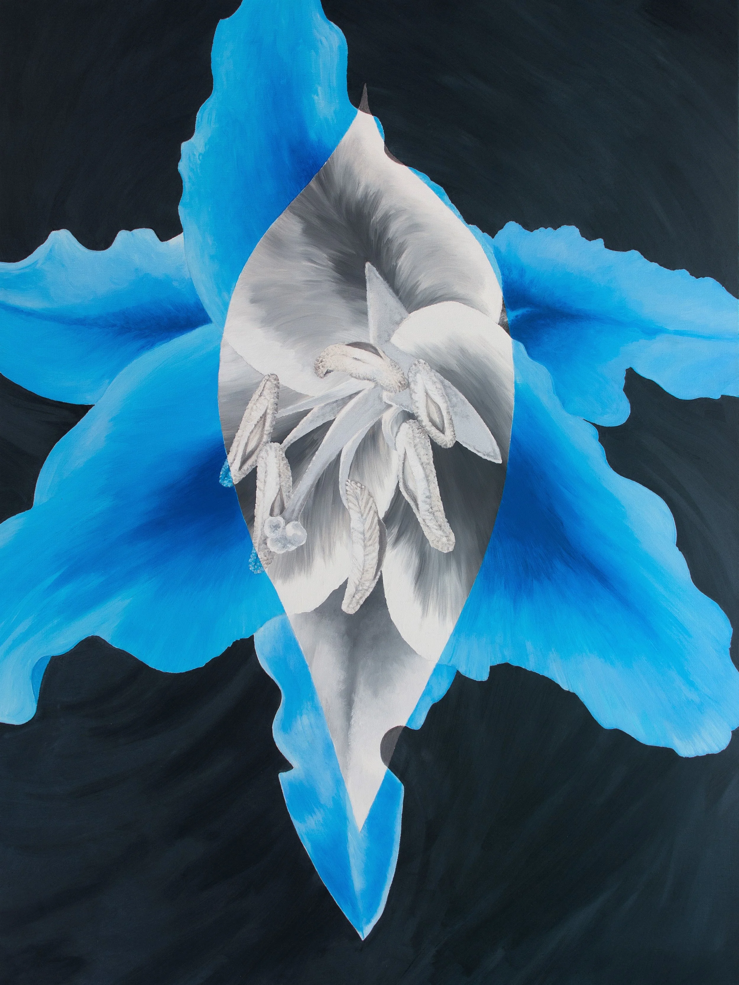   BLUE LILY  / 36” x 48” oil on canvas 