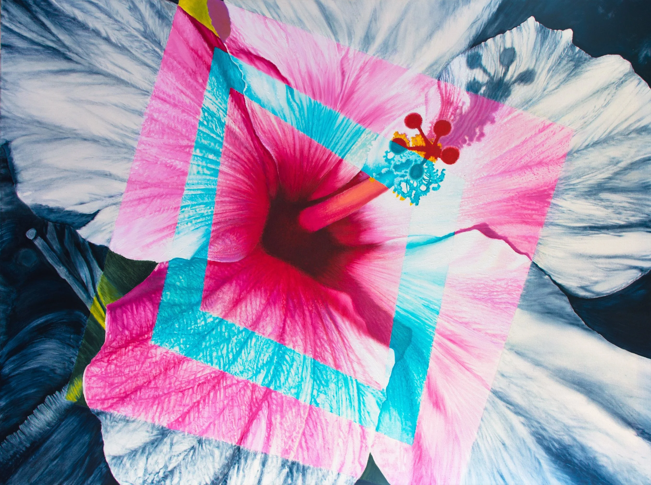   HIBISCUS  / 36” x 48” 