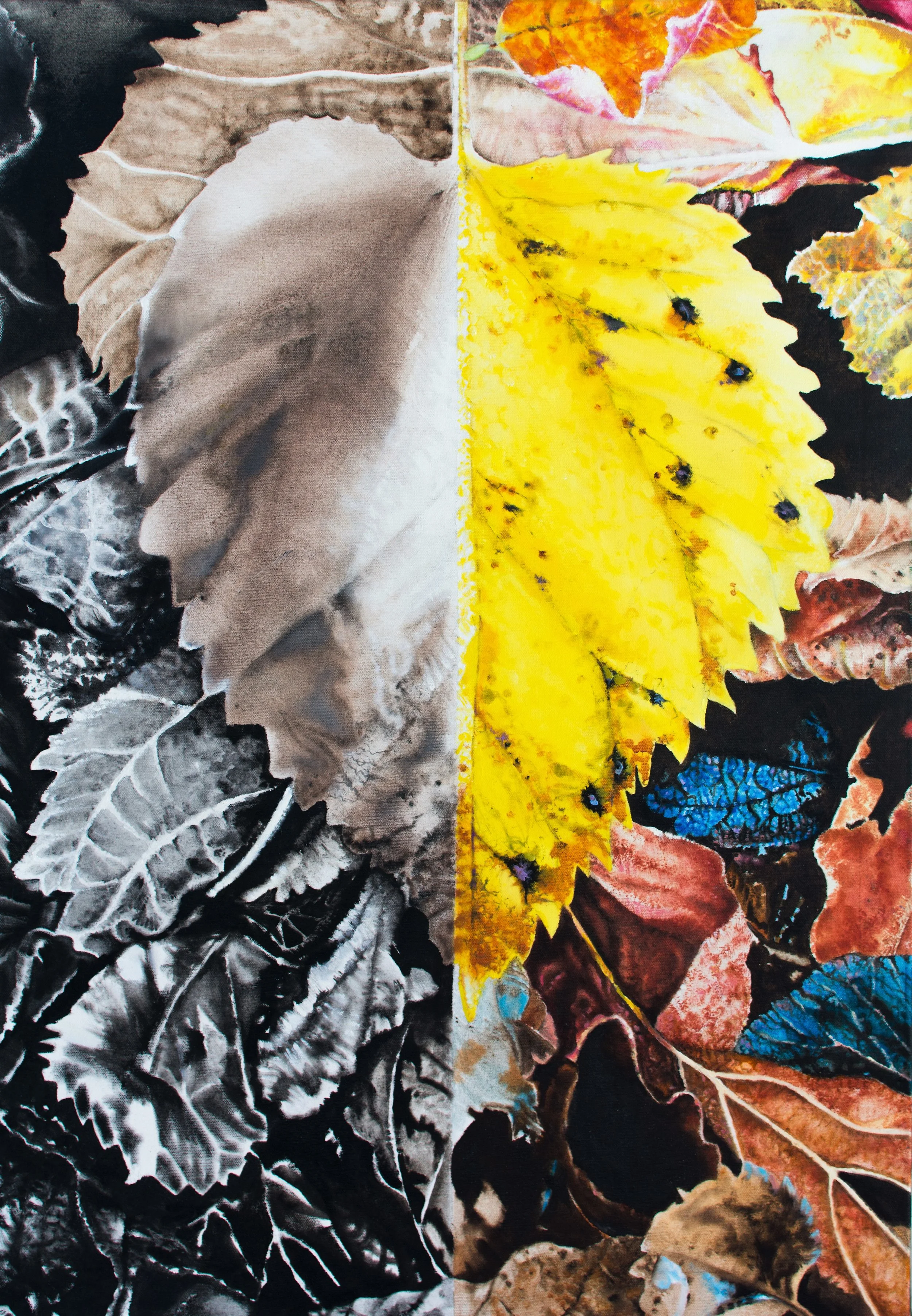   LEAF  / 33” x 23”   SOLD 