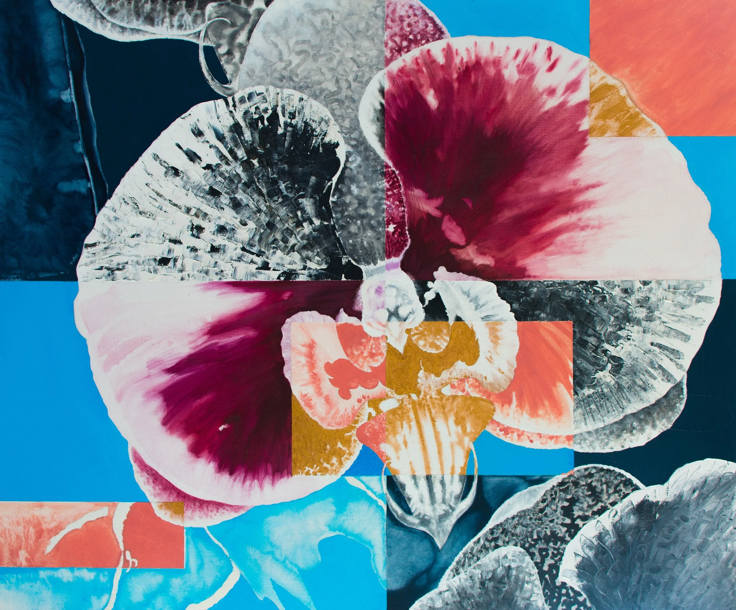   PHALAENOPSIS  / 33” x 40”  