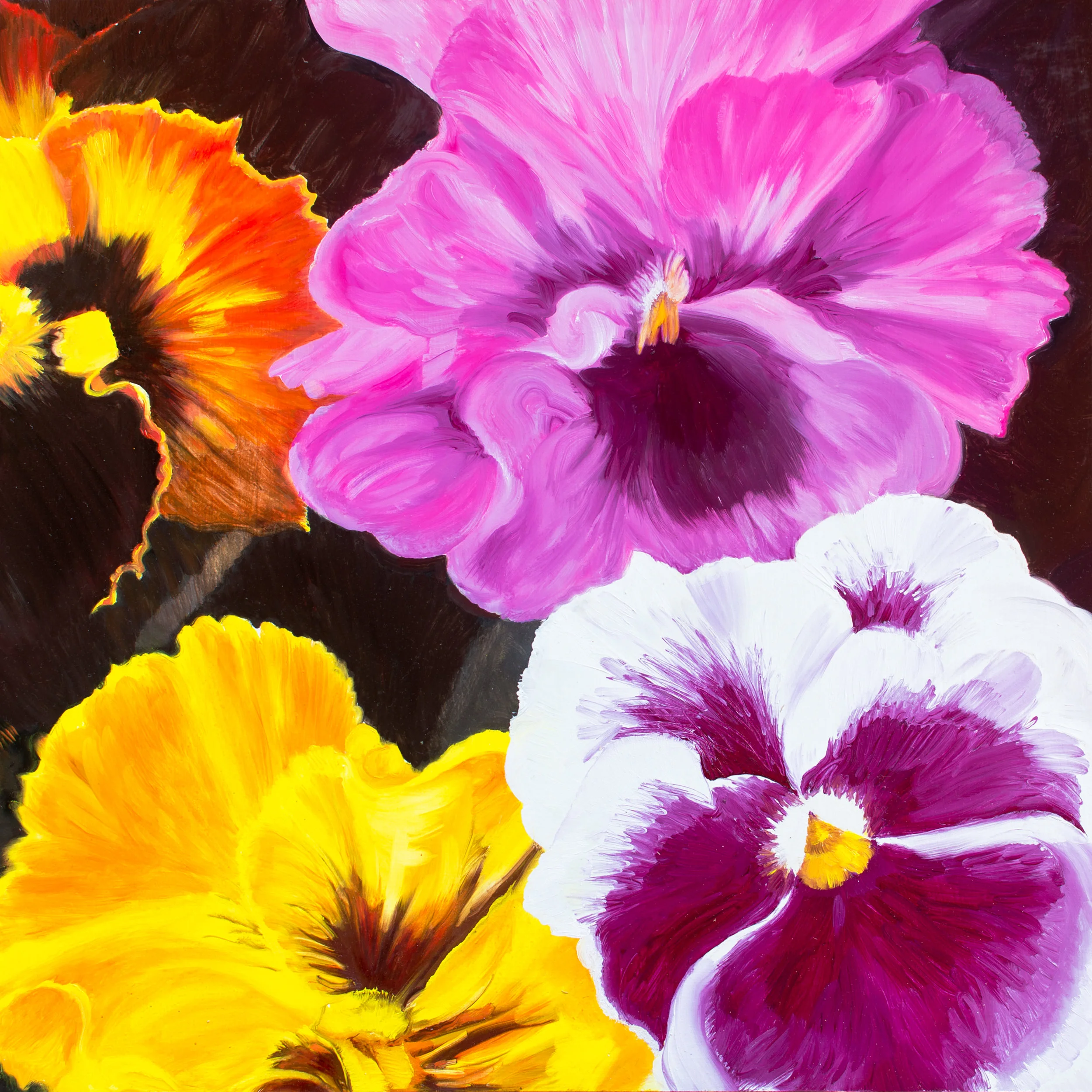  PANSIES  / 24” x 24“   SOLD 