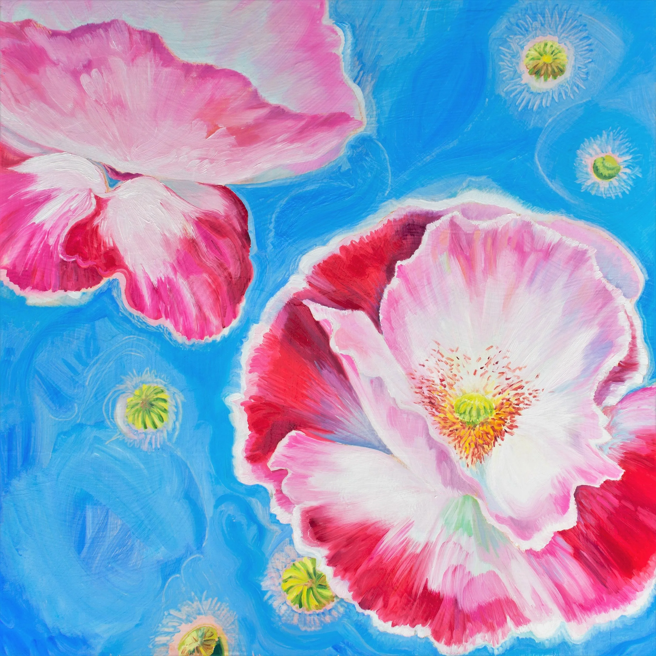   RED POPPIES  / 24” x 24”  