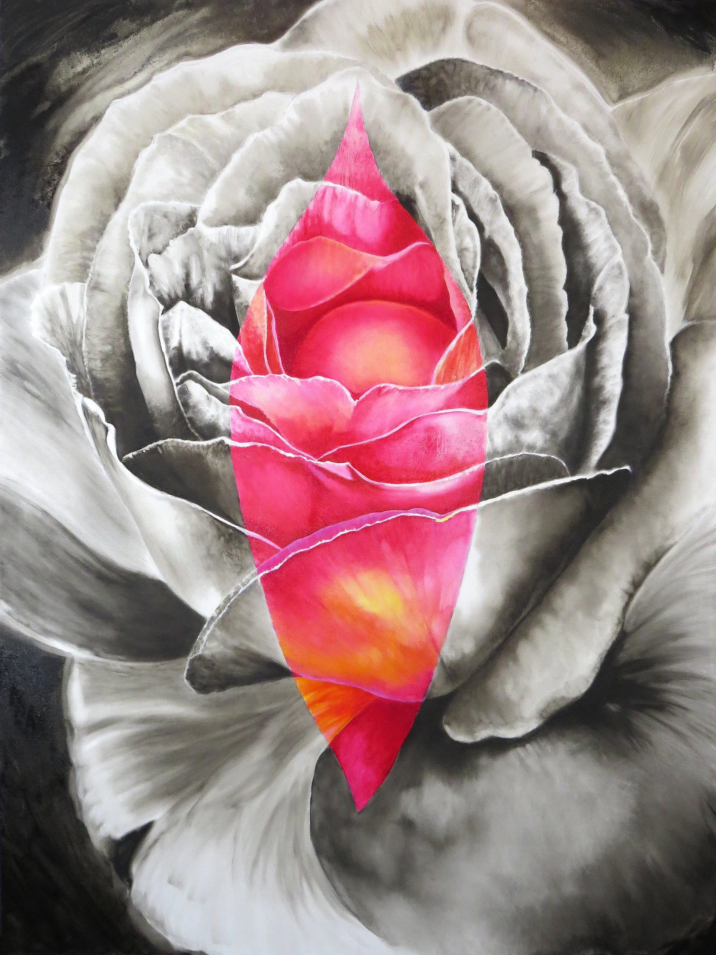   ROSE / 36'‘ x 48'‘   SOLD 