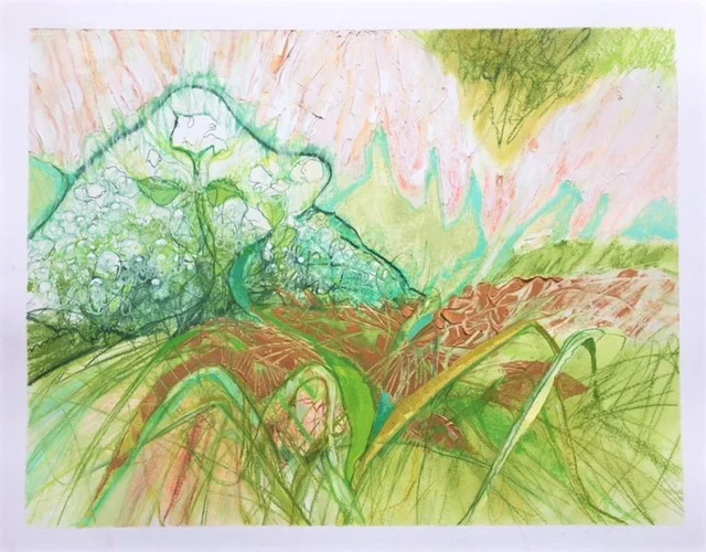   ENTANGLED /  18” x 24”   SOLD 