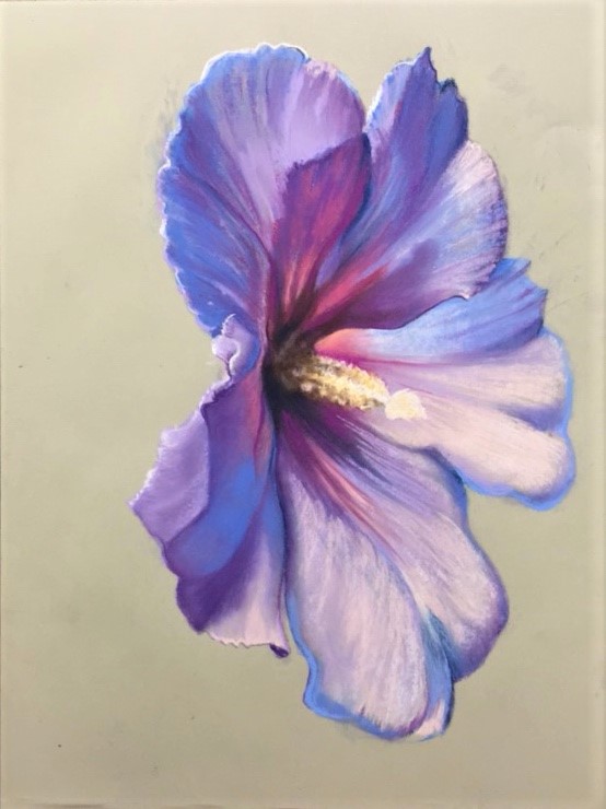   HIBISCUS 2  / 18” x 24” pastel  SOLD 