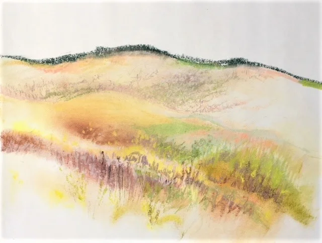   VINCENT BLUFF 2  / 18” x 24” pastel 