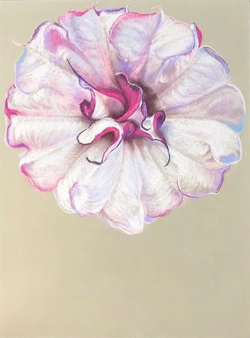   TENDERNESS,  pastel on paper  SOLD   