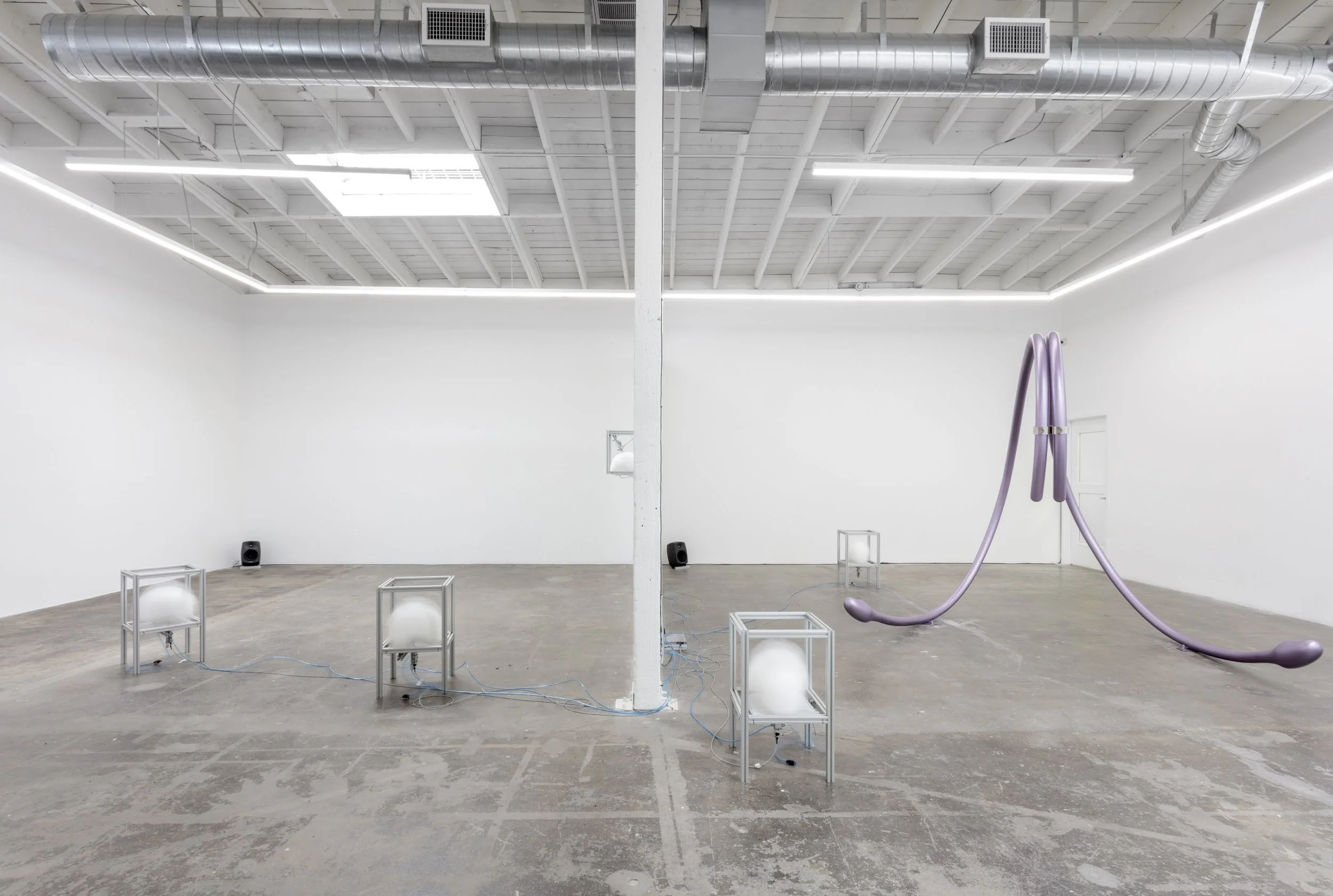 Harrison Pearce, Maladapted at Baert Gallery, Los Angeles USA, 2019
