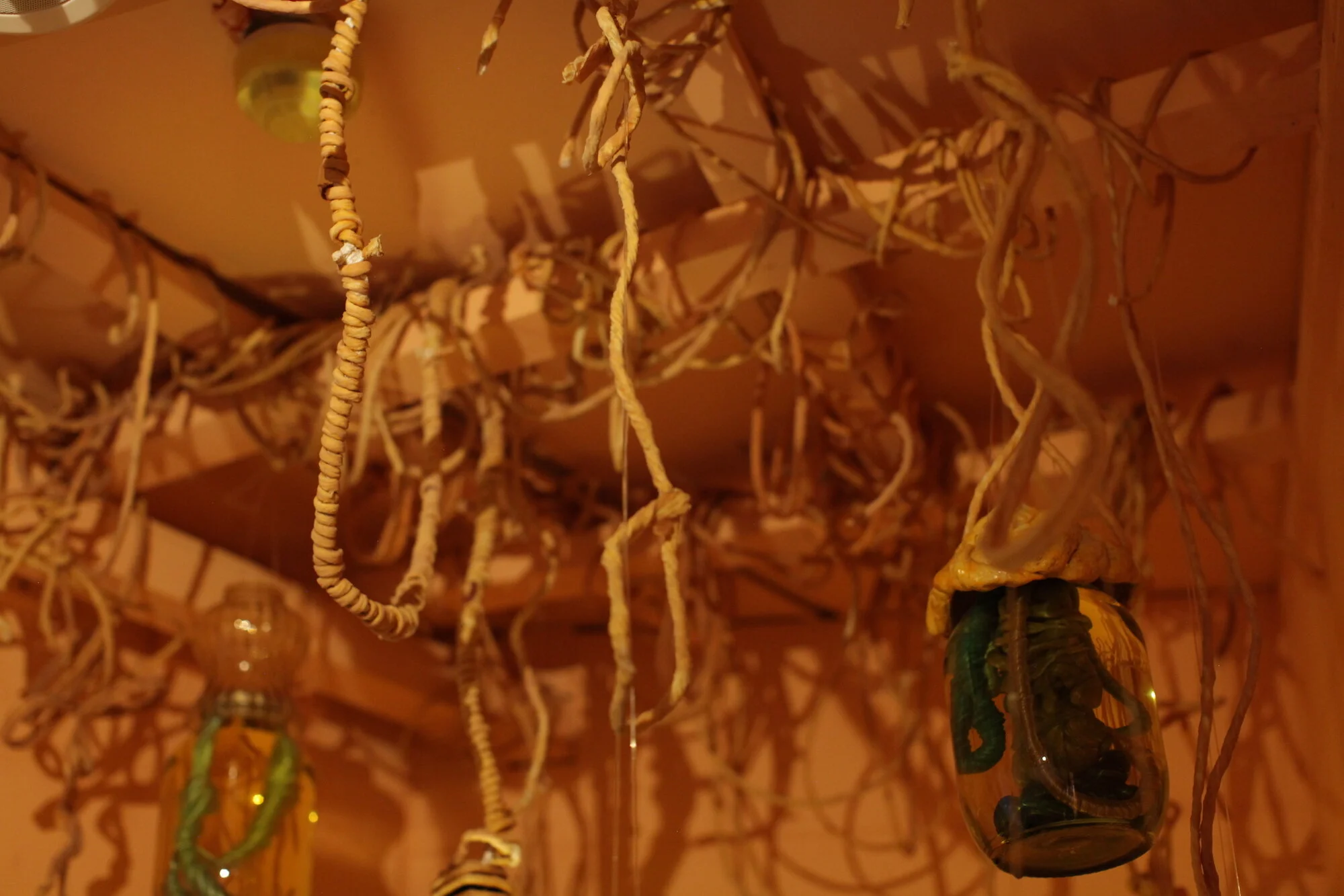 Charlotte Osborne - Harvest Womb 017 (web).JPG