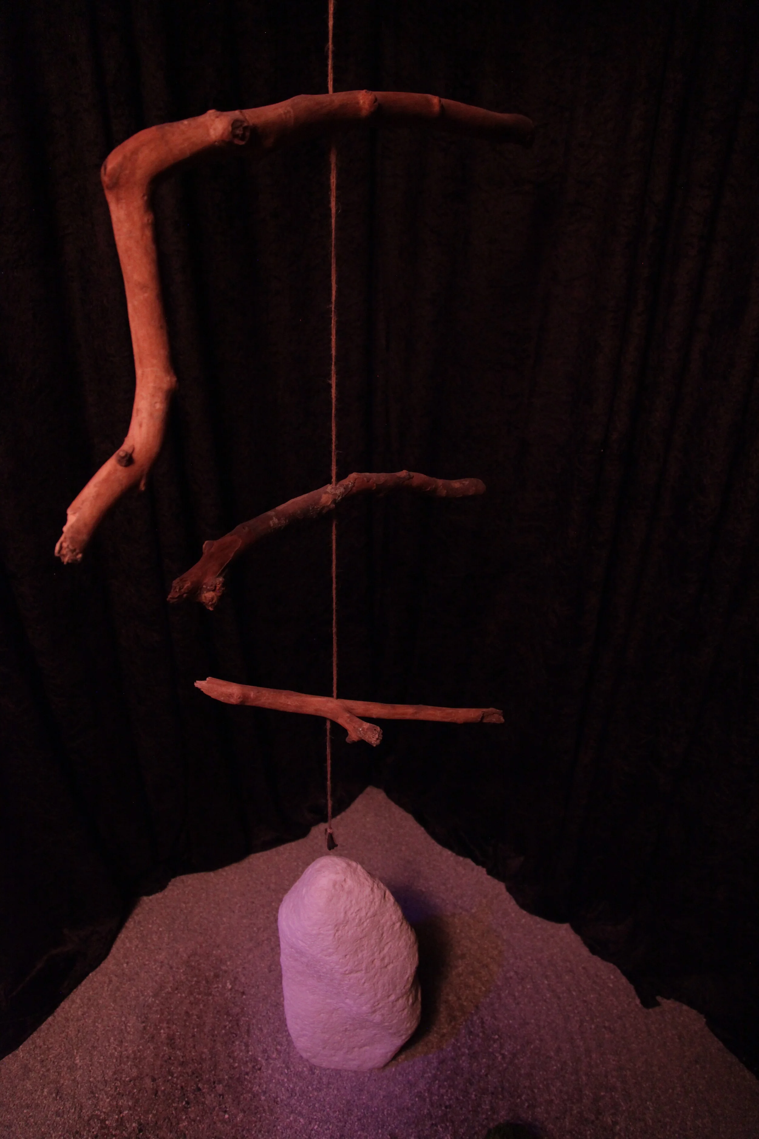Helena Doyle - Pernicium Karesansui 012.JPG