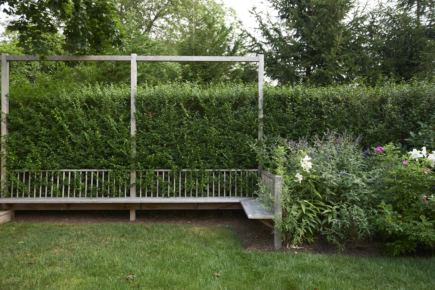 Demauro_Landcape_Design_Gardens_Hamptons_Mecox_0131.jpg
