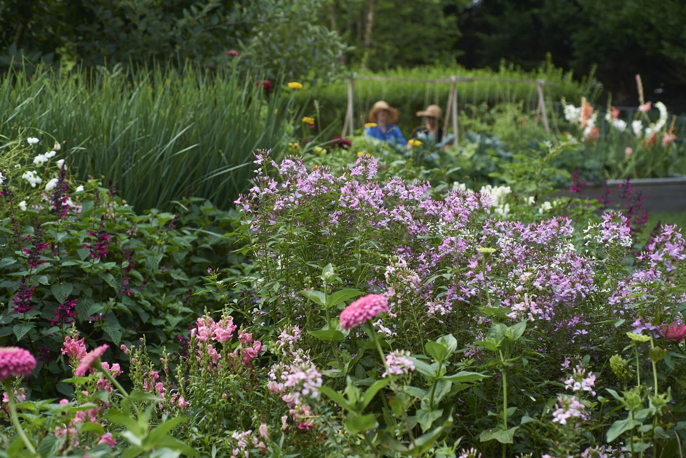 Demauro_Landcape_Design_Gardens_Hamptons_Mecox_0501.jpg
